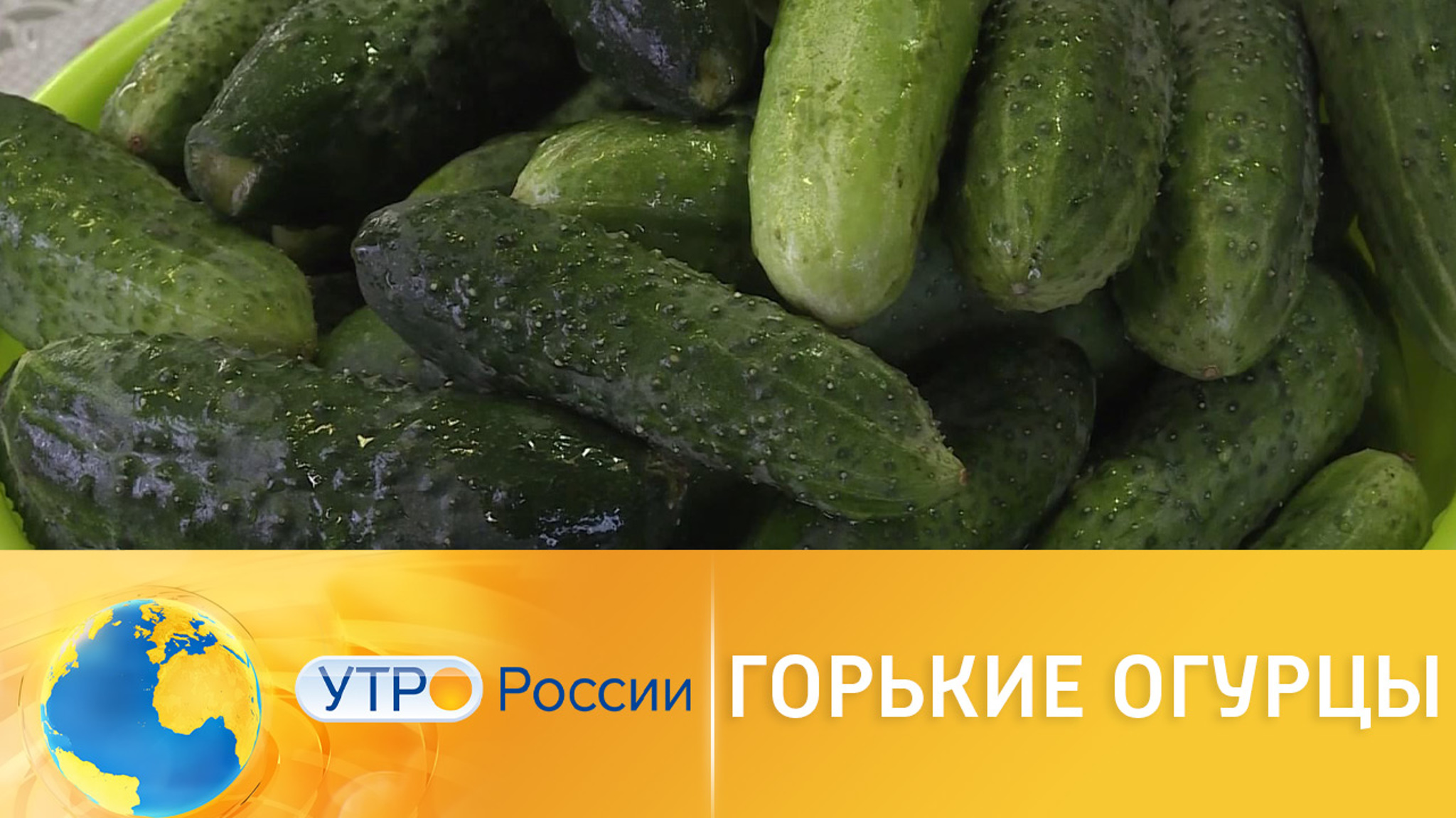 Польза горьких огурцов
