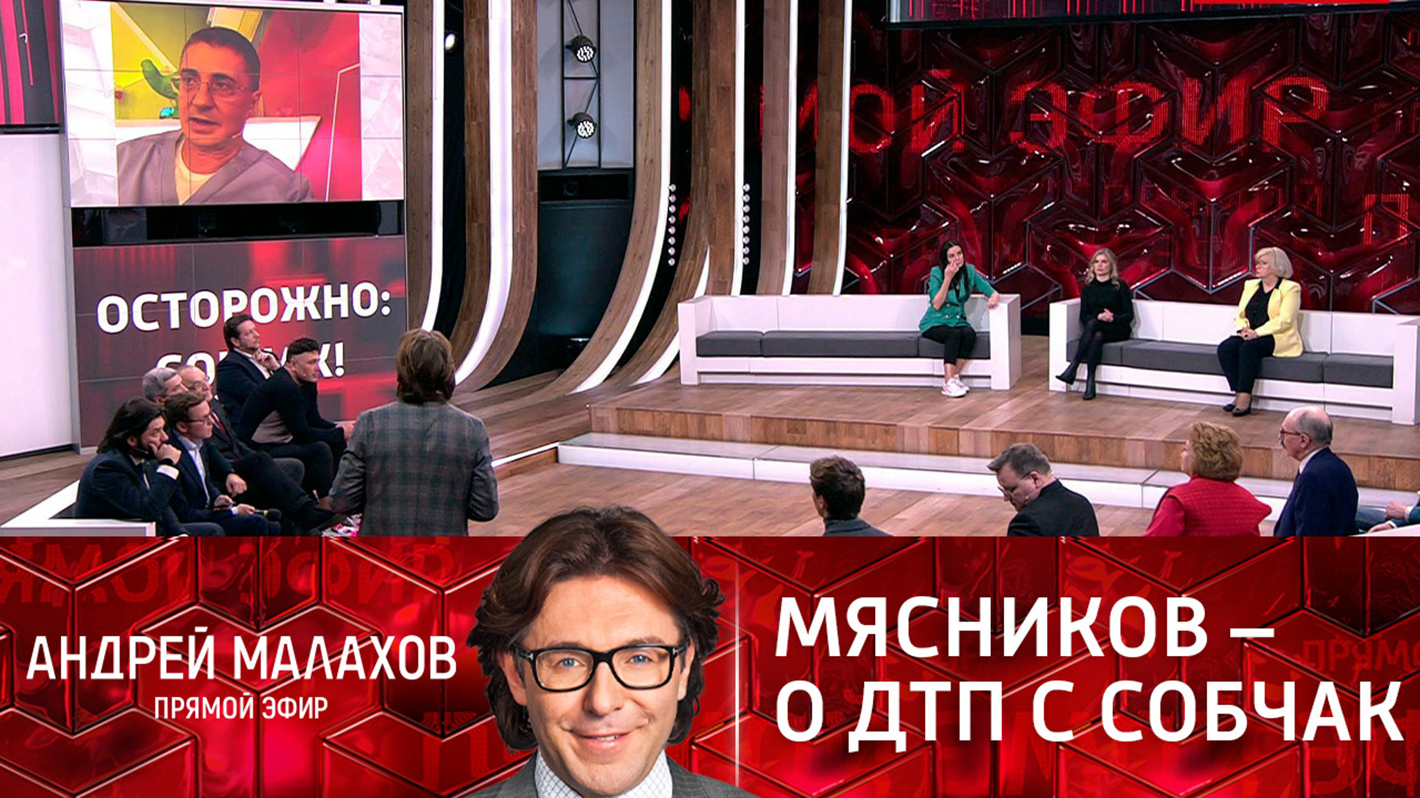 "Много ли она помогла бы?": Мясников – о ДТП с участием Собчак