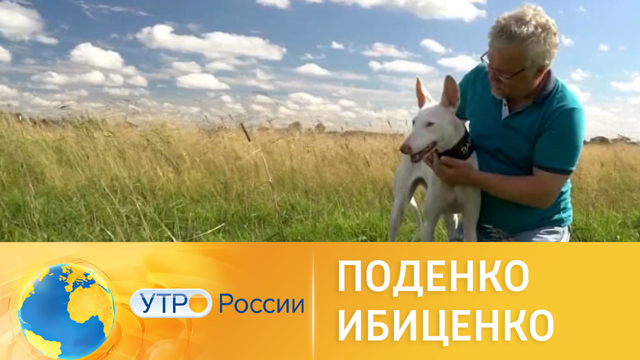 Поденко ибиценко: порода охотничьих собак