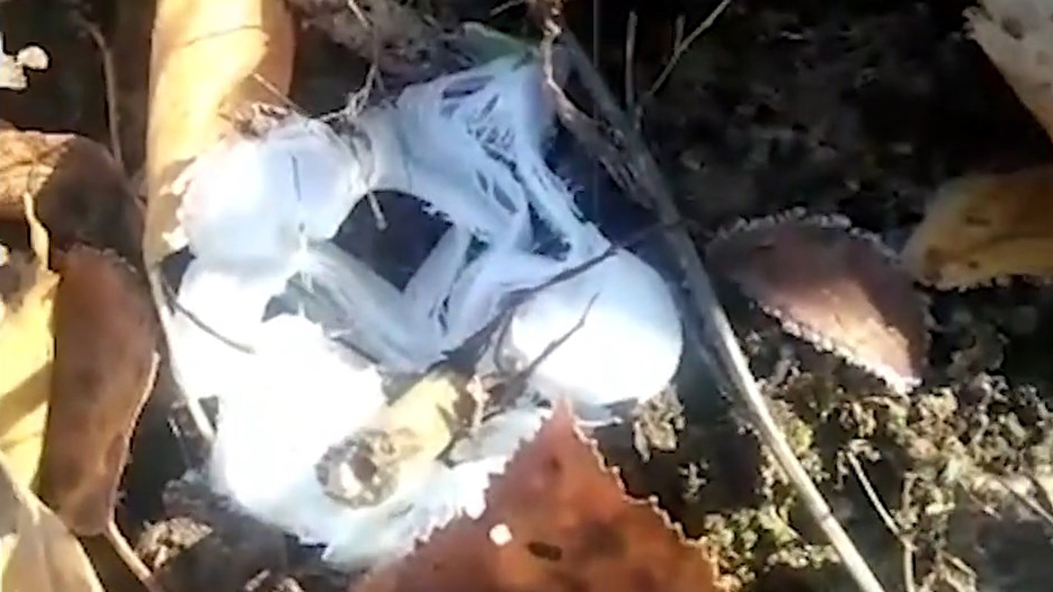 В Башкирии сняли на видео удивительные "ледяные цветы"