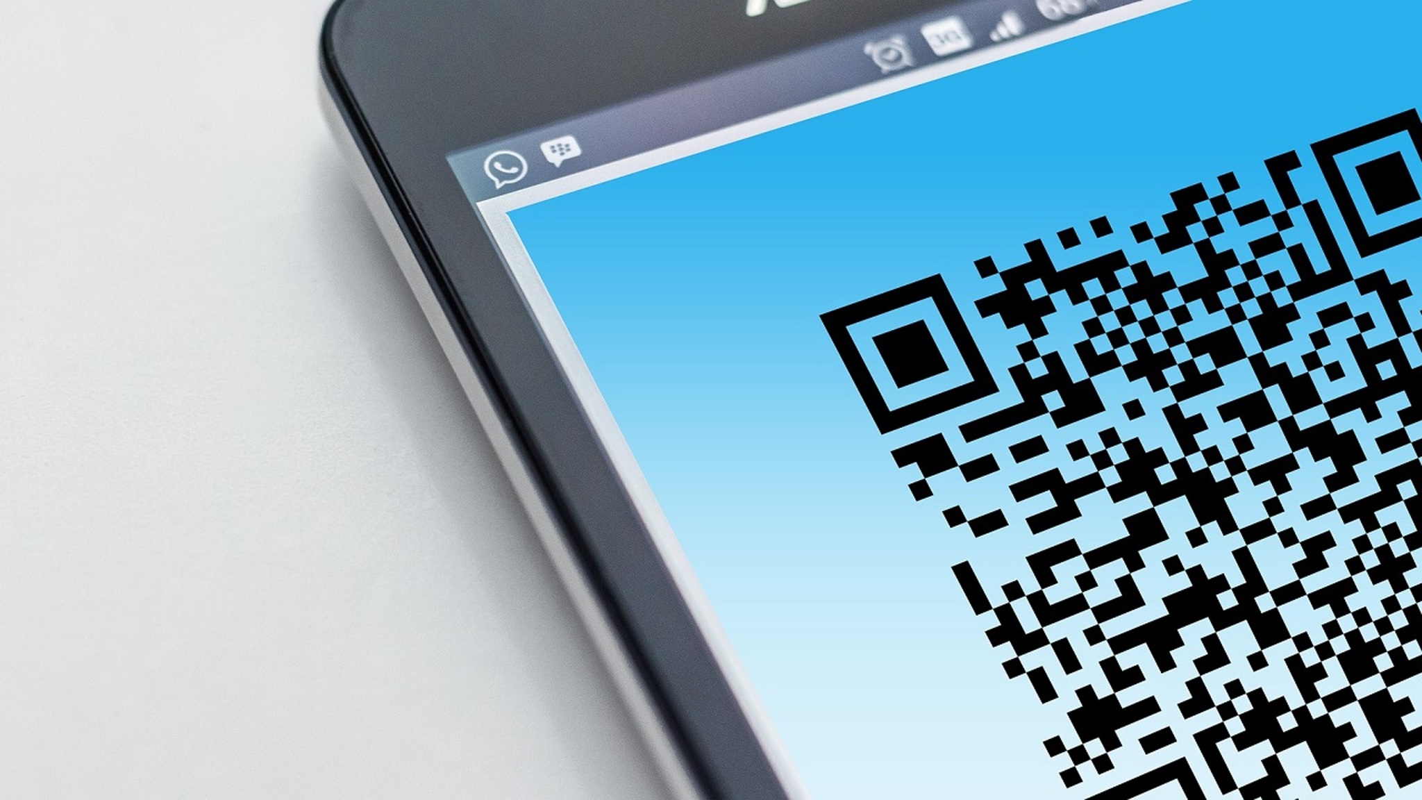 Три региона на Дальнем Востоке вводят QR-коды для посещения общественных мест