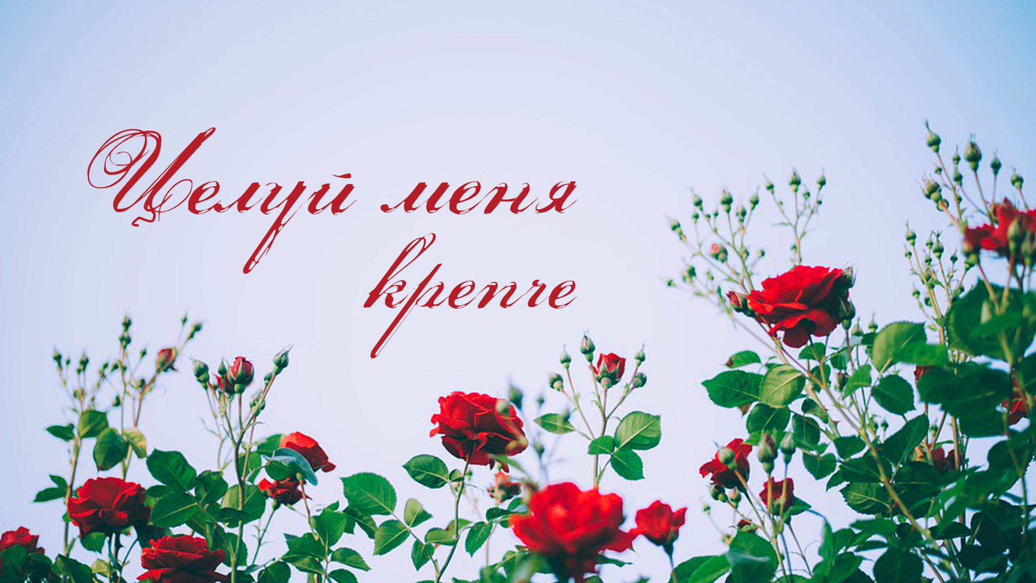 Целуй меня крепче