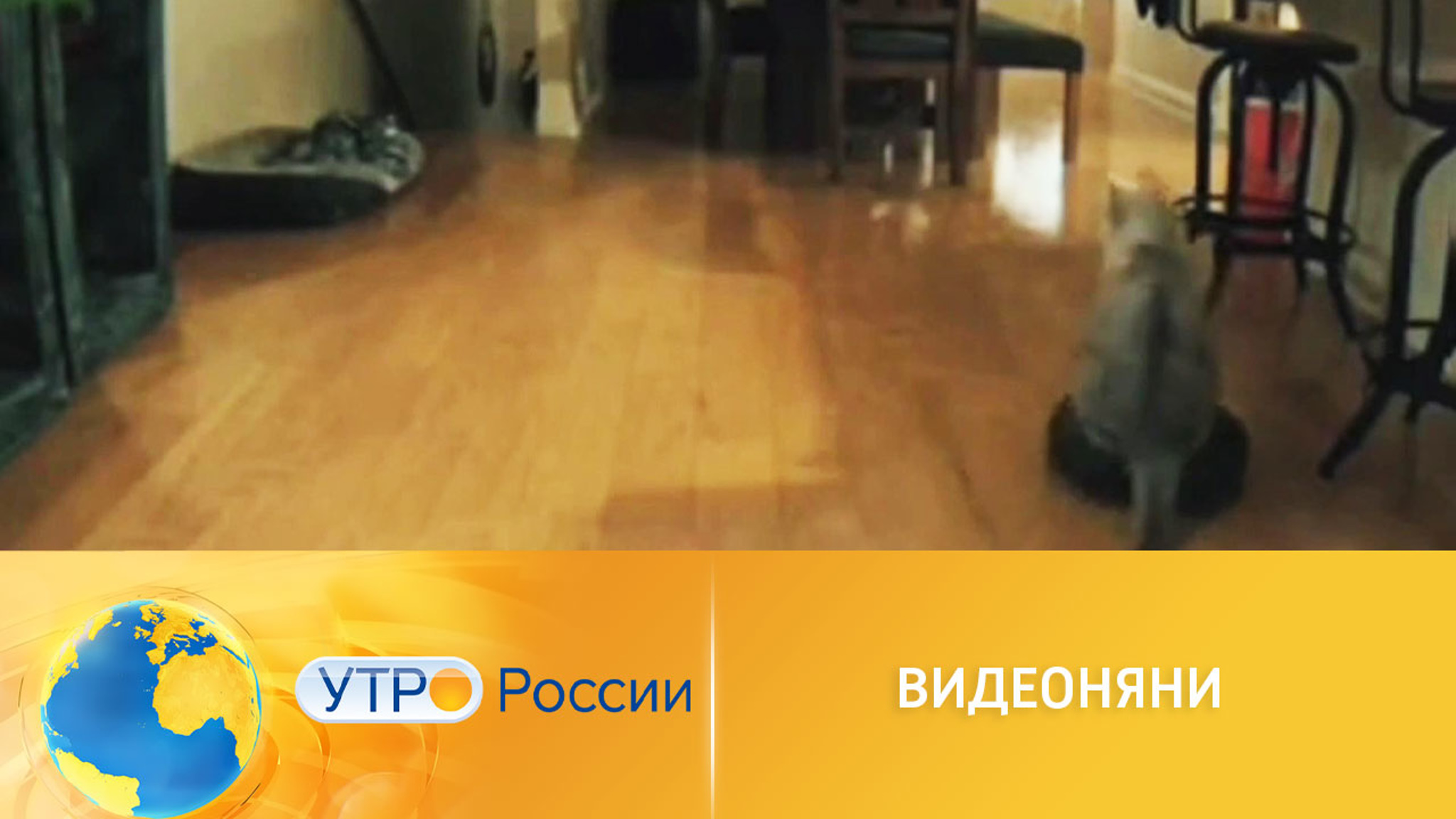 Забавные кадры снимает видеоняня