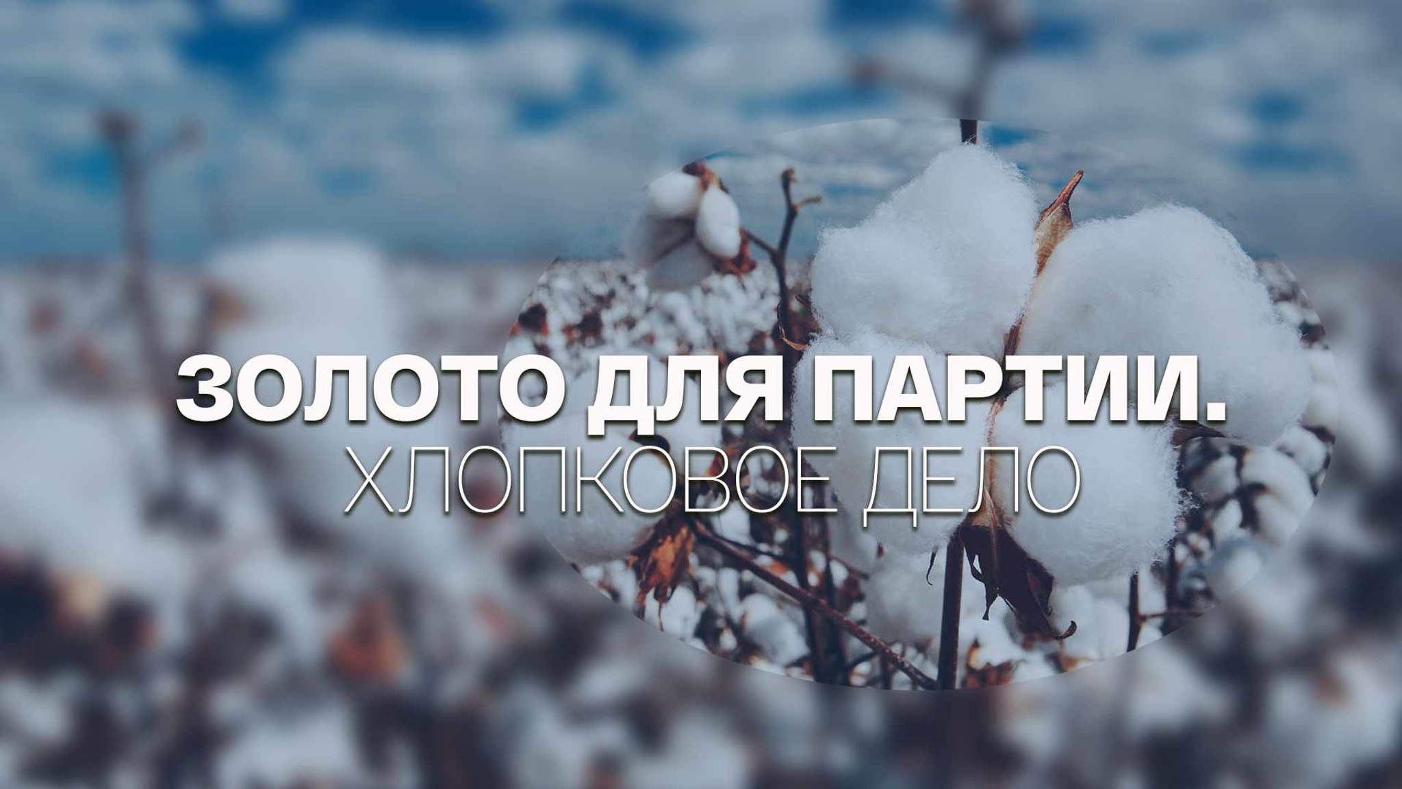 Золото для партии. Хлопковое дело
