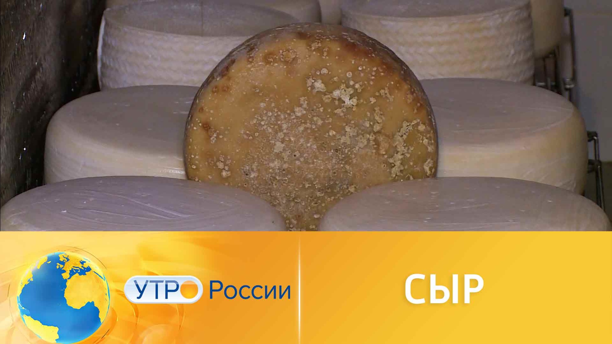 Супруги из Смоленской области создают благородные сыры