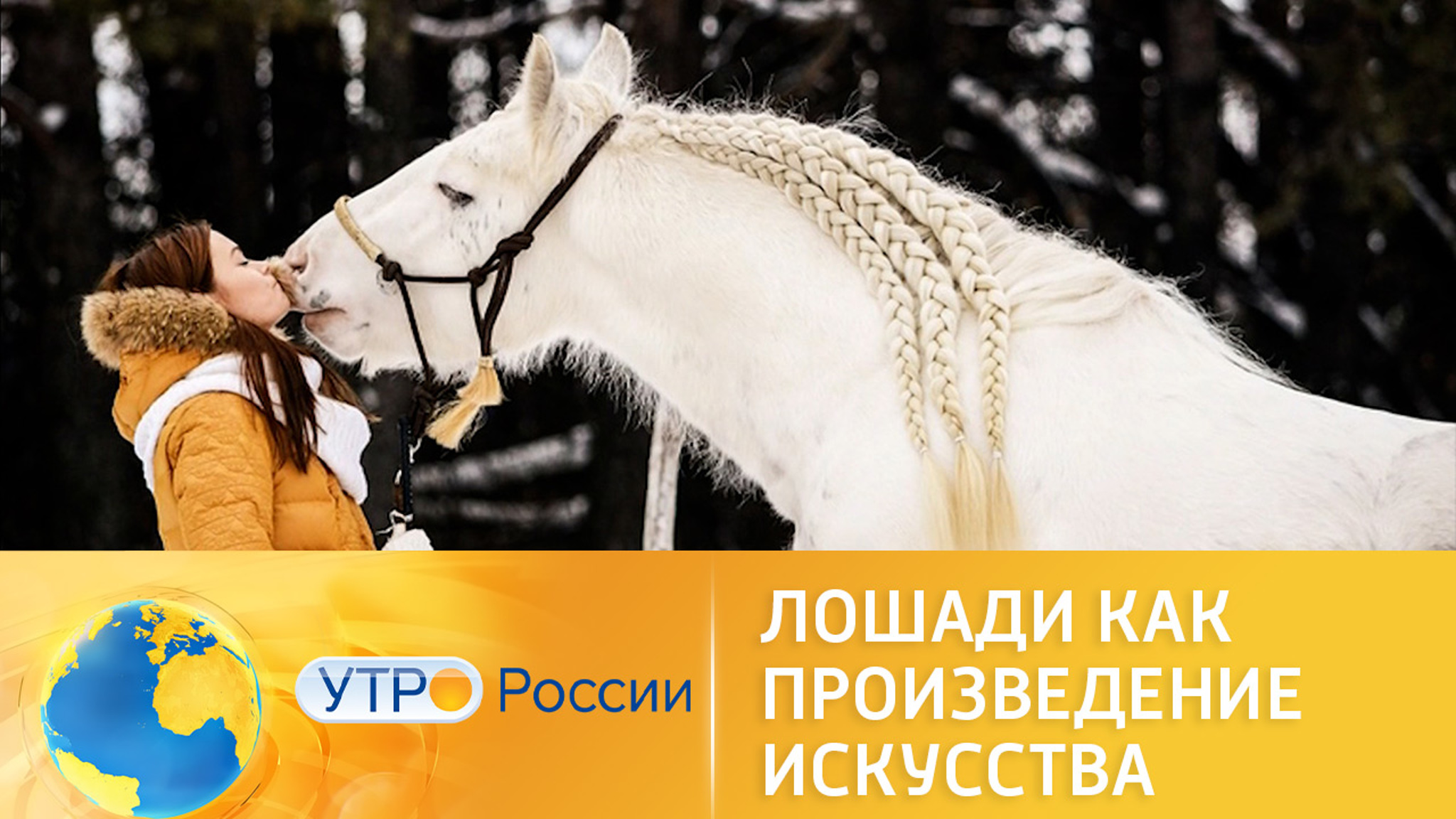 Как посвятить жизнь лошадям