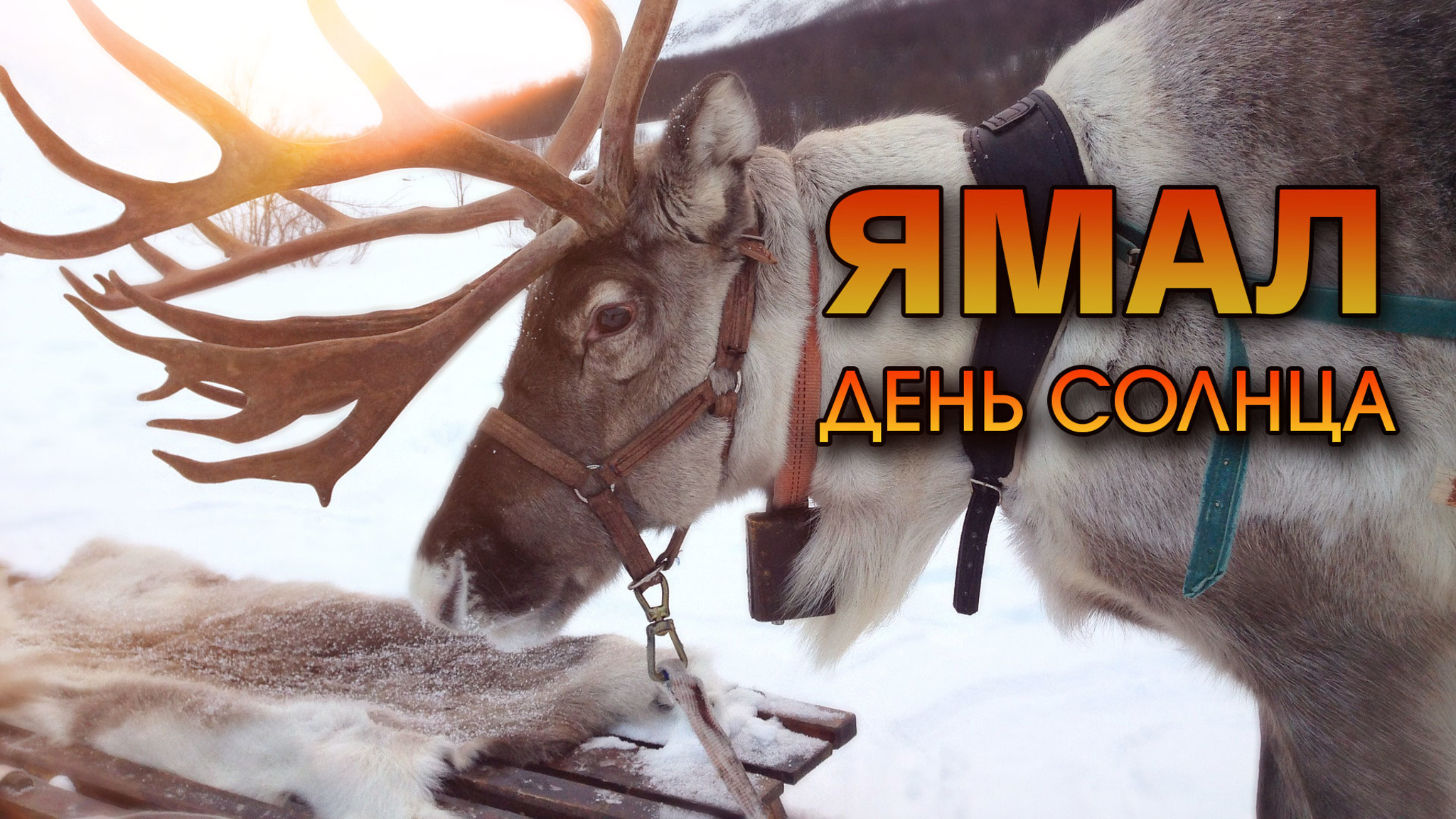 Ямал. День солнца