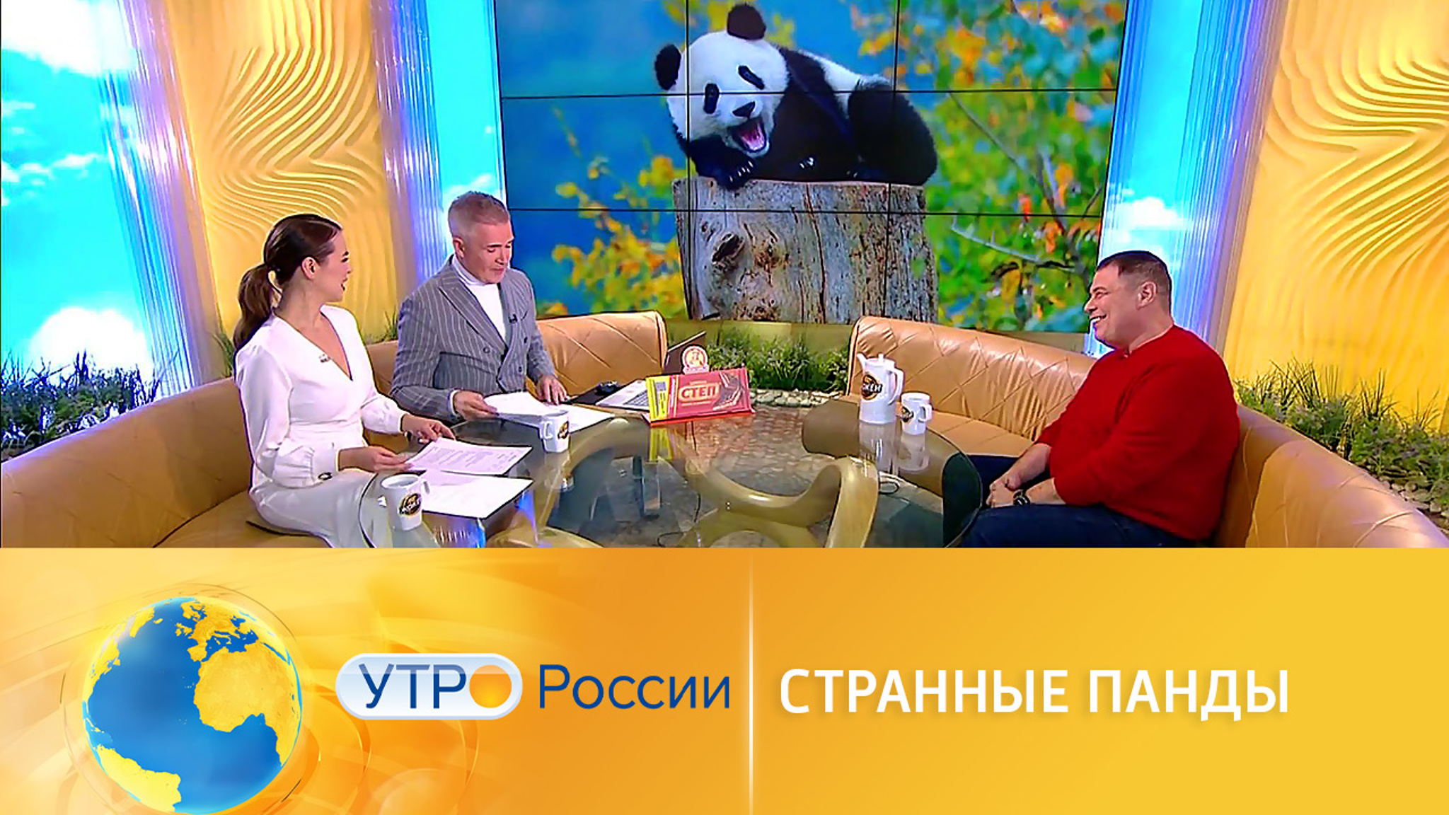 Интересные факты о пандах
