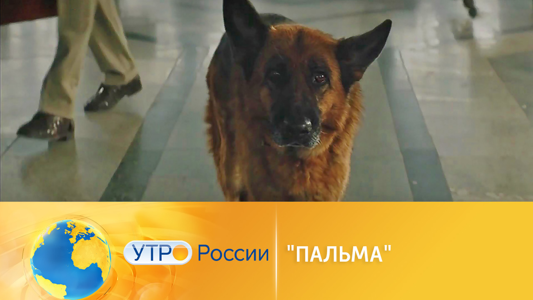 Семейных кинохит "Пальма" – в эфире телеканала "Россия 1"