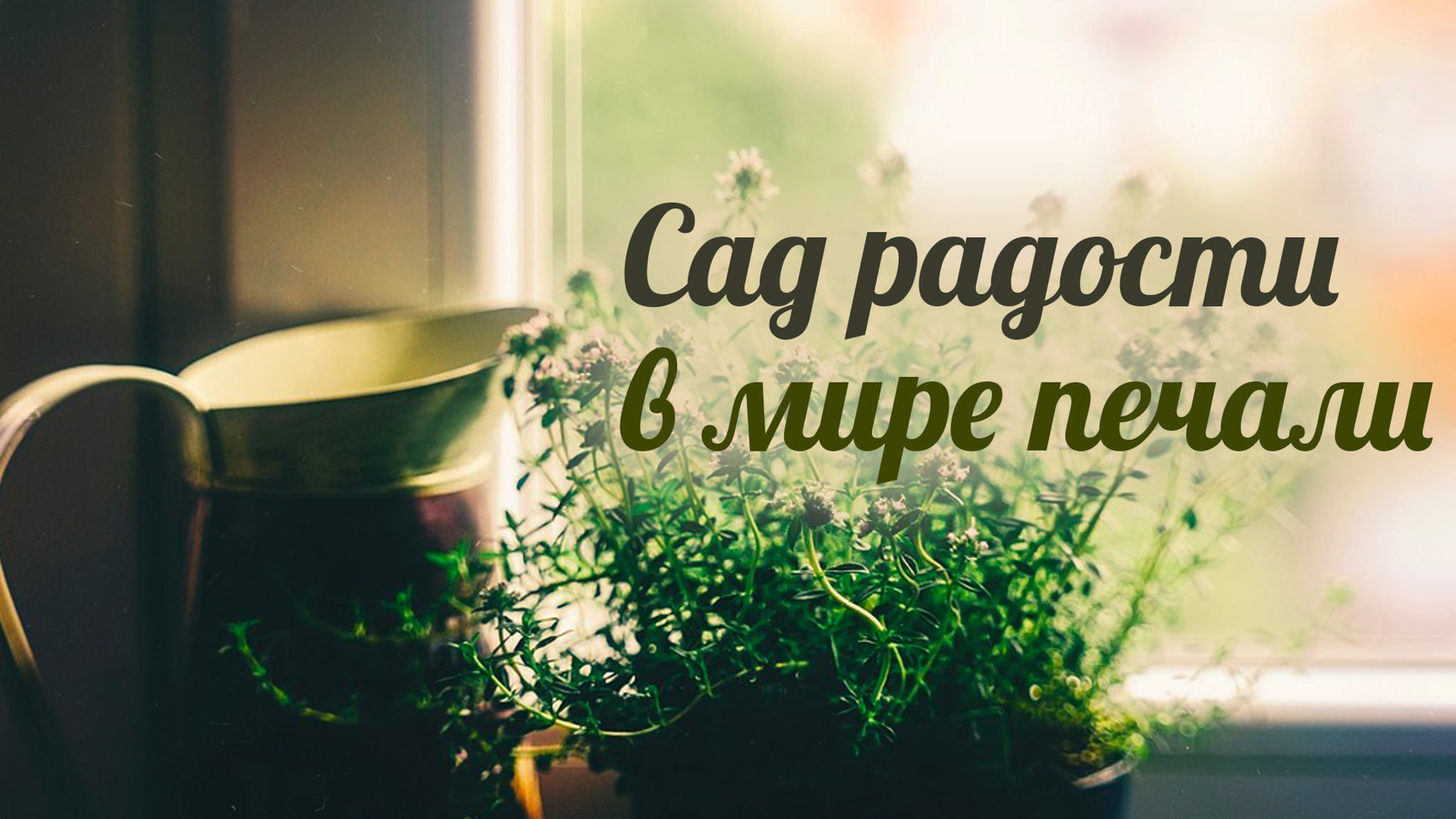 Сад радости в мире печали