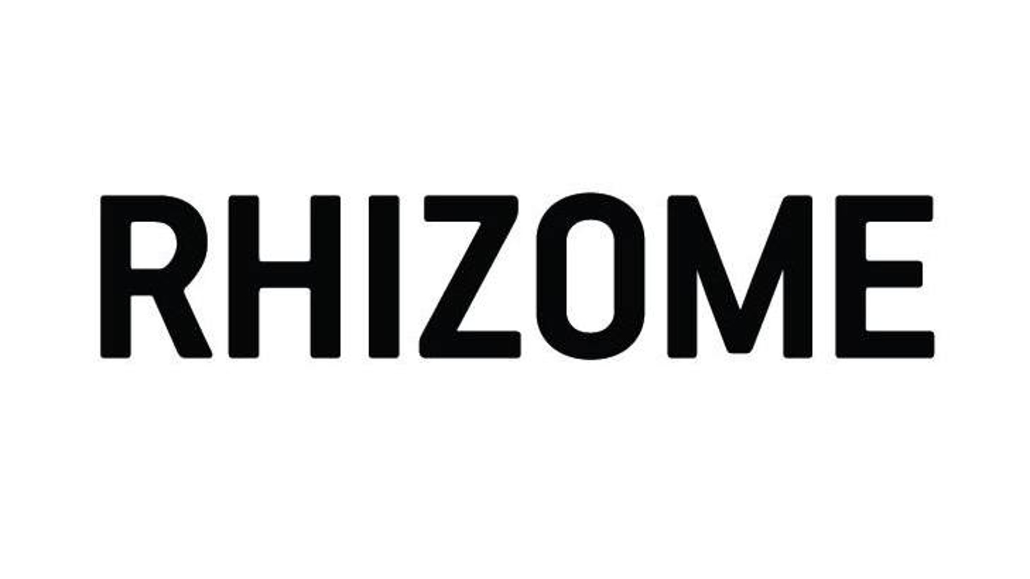 Фонд MaxArt покажет выставку художников первого сезона резиденции rhIZOme
