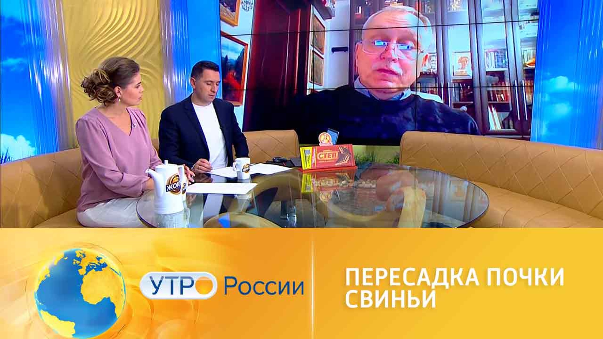 Человеку впервые пересадили свиную почку