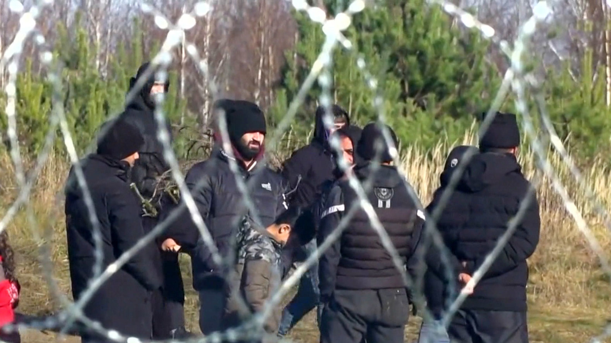 Ряды мигрантов у польско-белорусской границы пополнились новыми беженцами