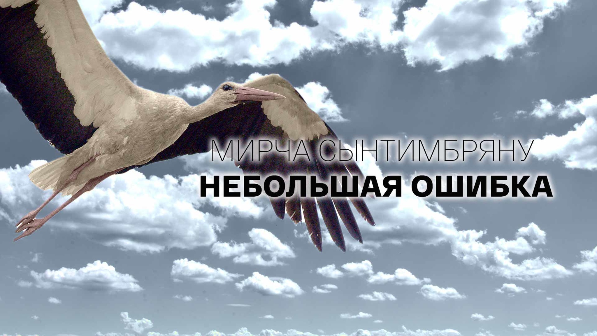 Мирча Сынтимбряну. Небольшая ошибка