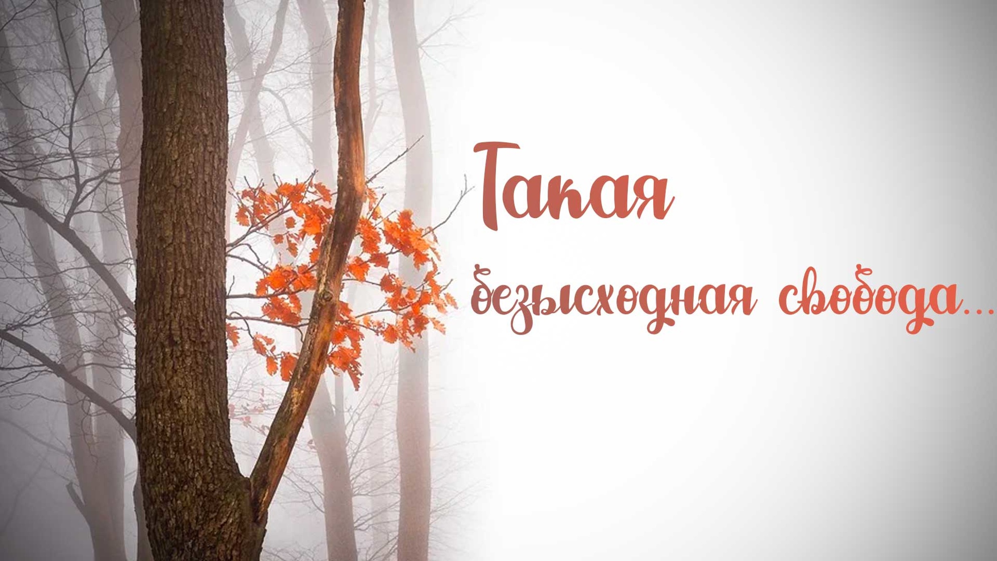Такая безысходная свобода...
