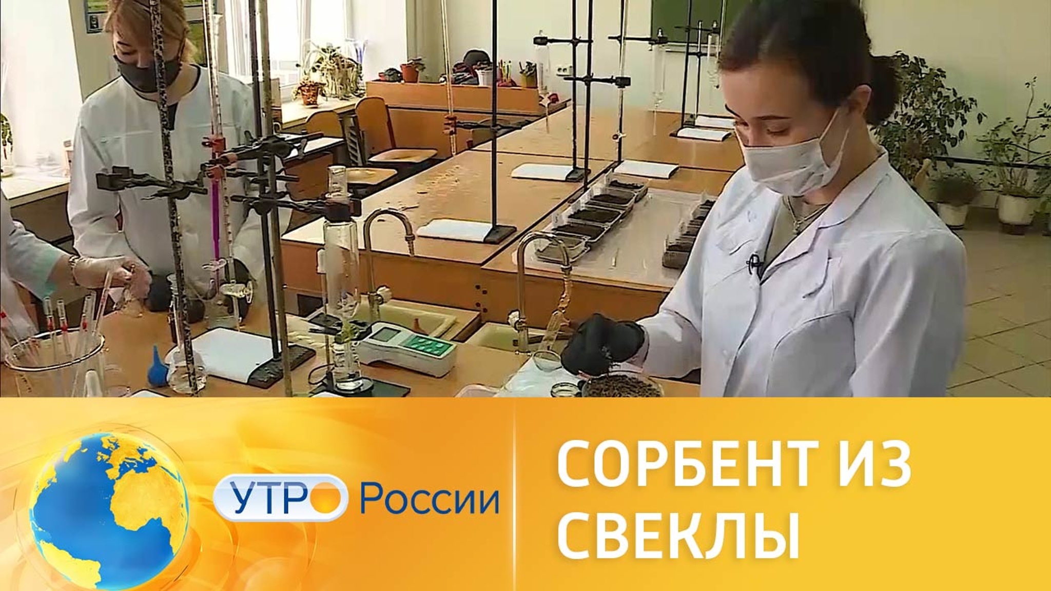 Ученые разработали сорбент из свеклы для очистки воды от нефти