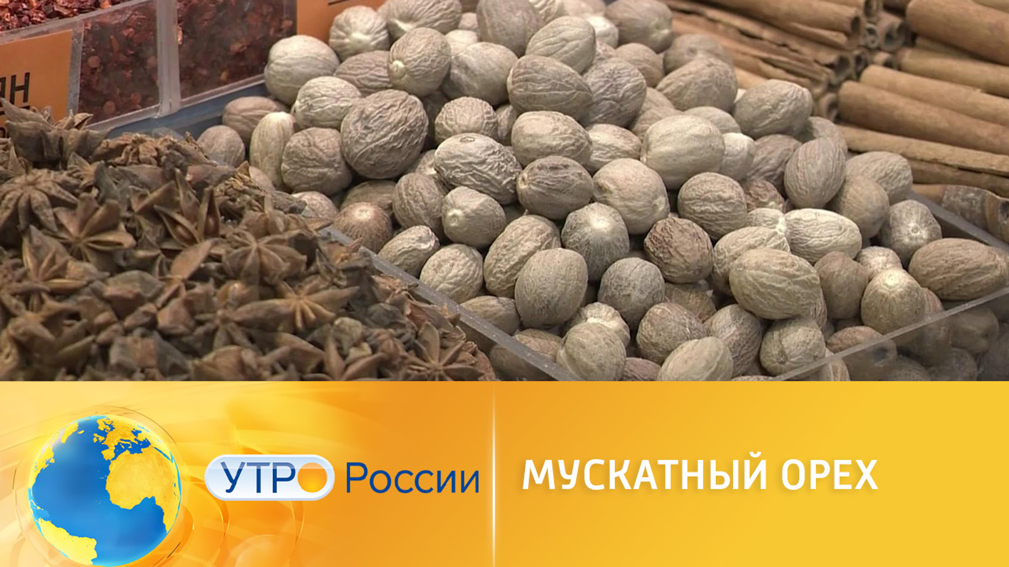 Все о пользе мускатного ореха