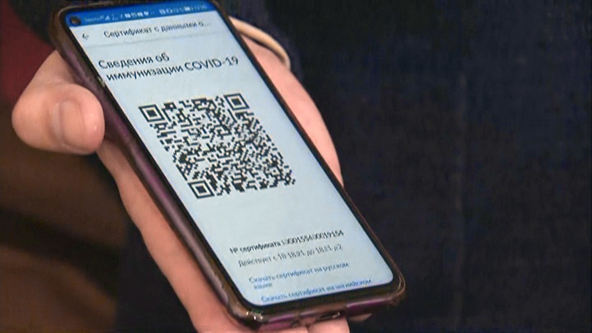 Главврача на Сахалине отстранили от должности за торговлю QR-кодами