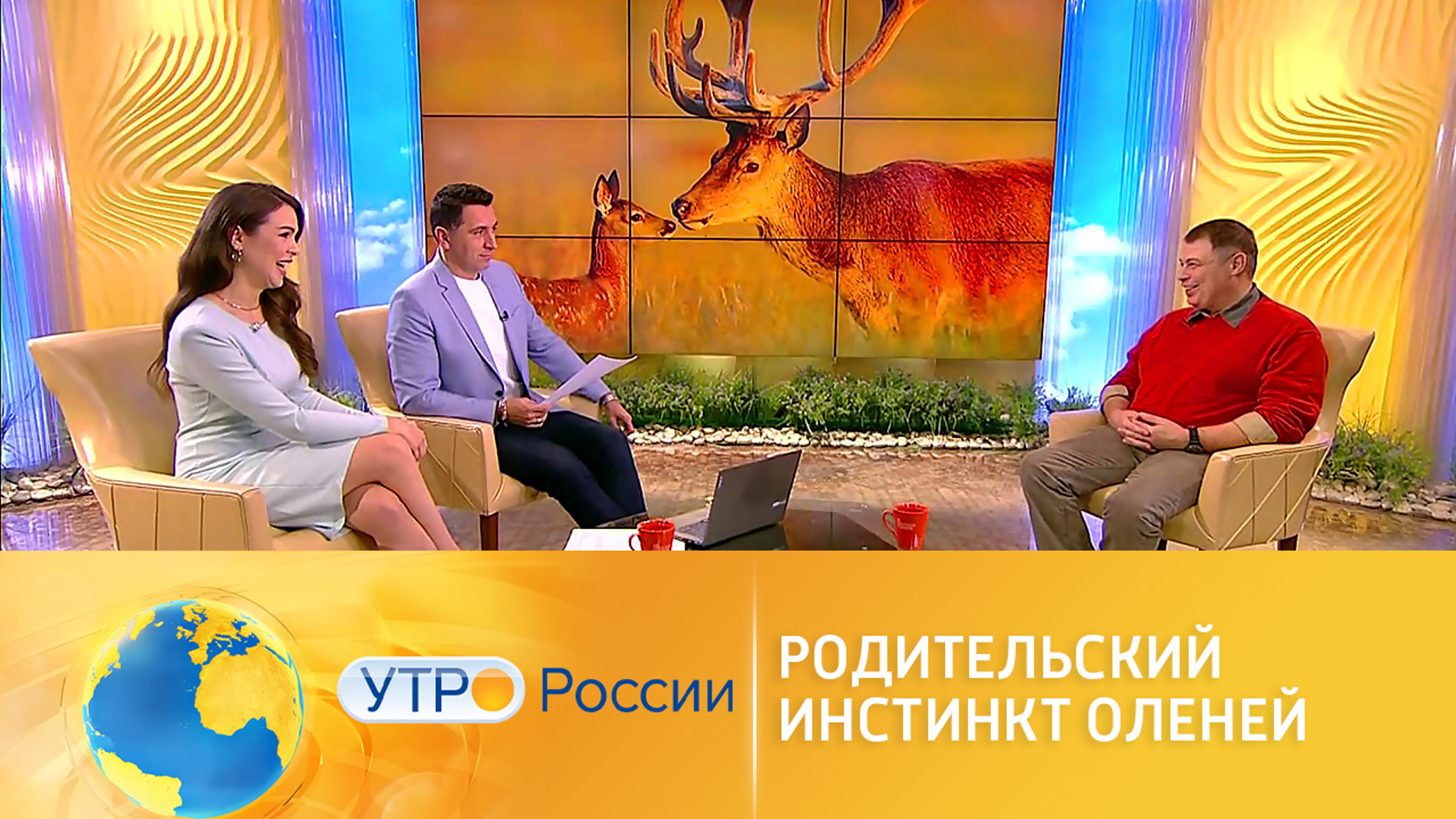 Иван Затевахин рассказал интересные факты об оленях