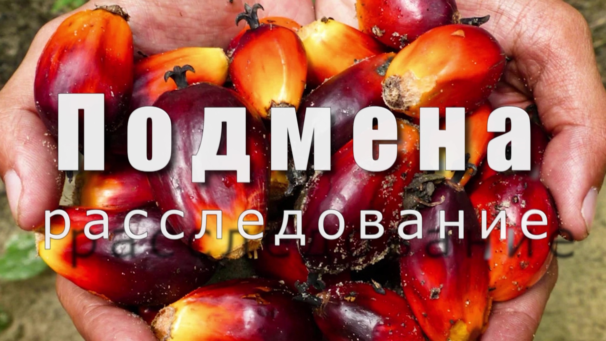 Документальный фильм