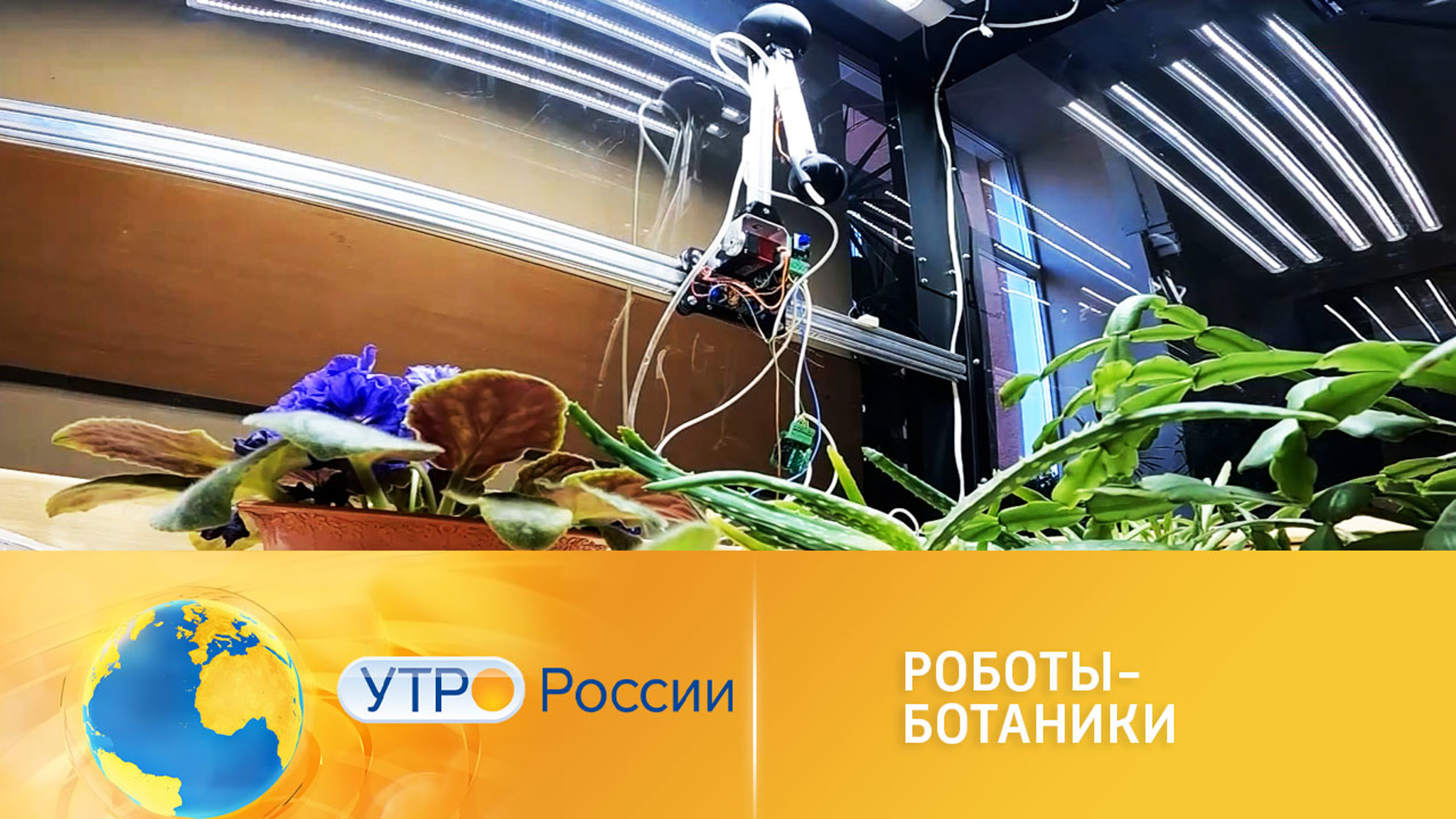 Роботы-ботаники облегчат жизнь дачникам