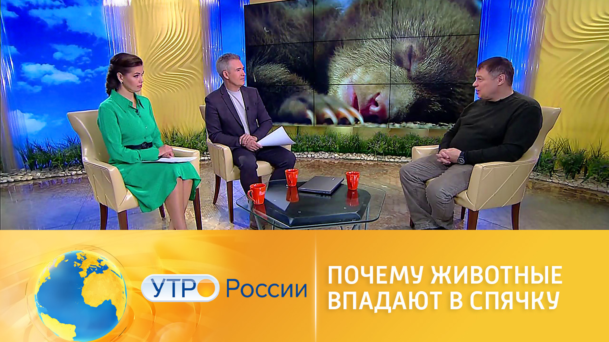 Иван Затевахин объяснил, почему животные впадают в спячку