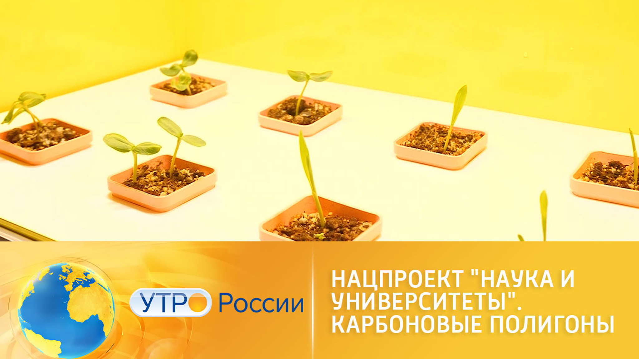 Нацпроект "Наука и университеты". Карбоновые полигоны