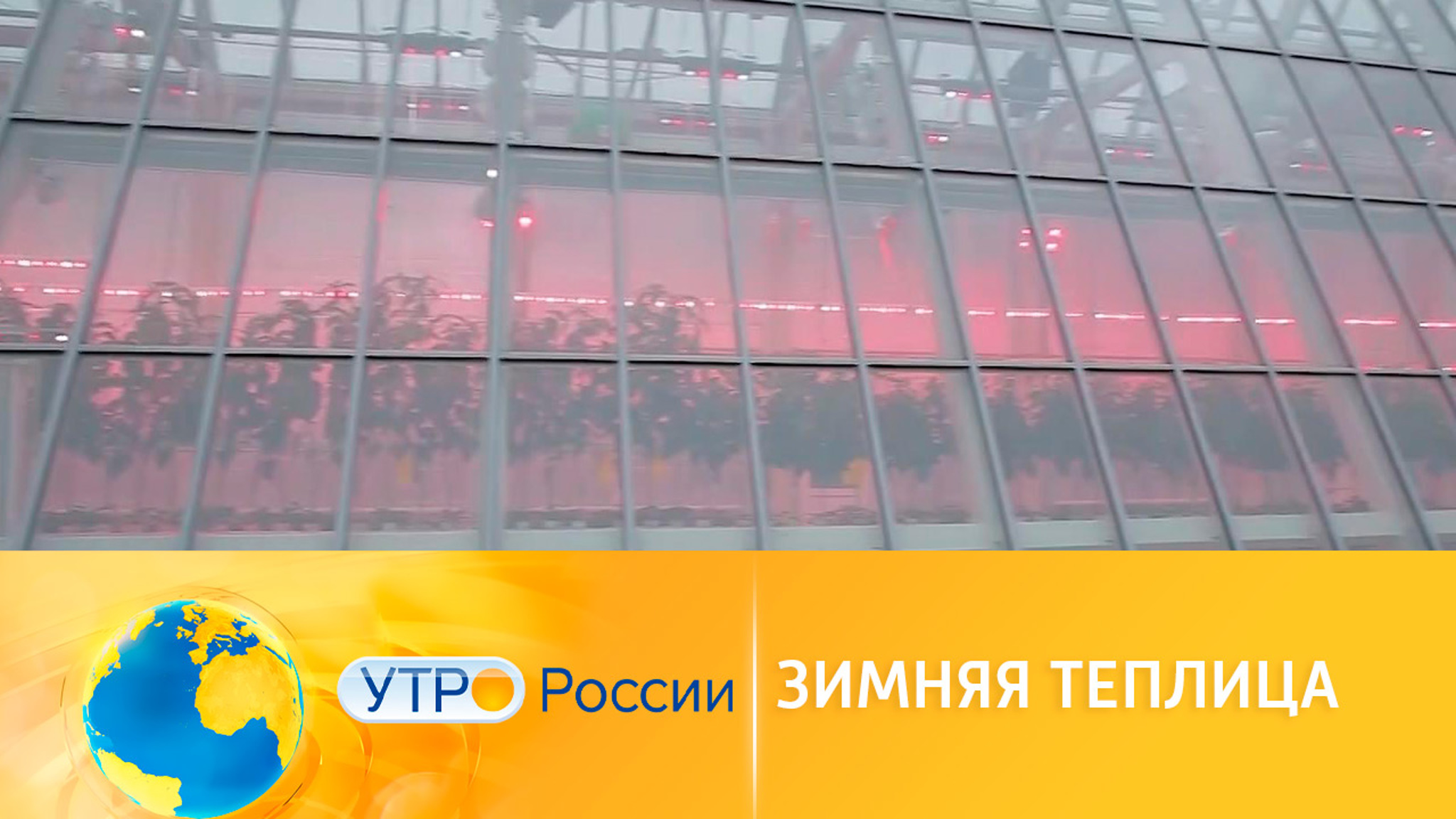 Урожай круглый год: преимущества зимних теплиц