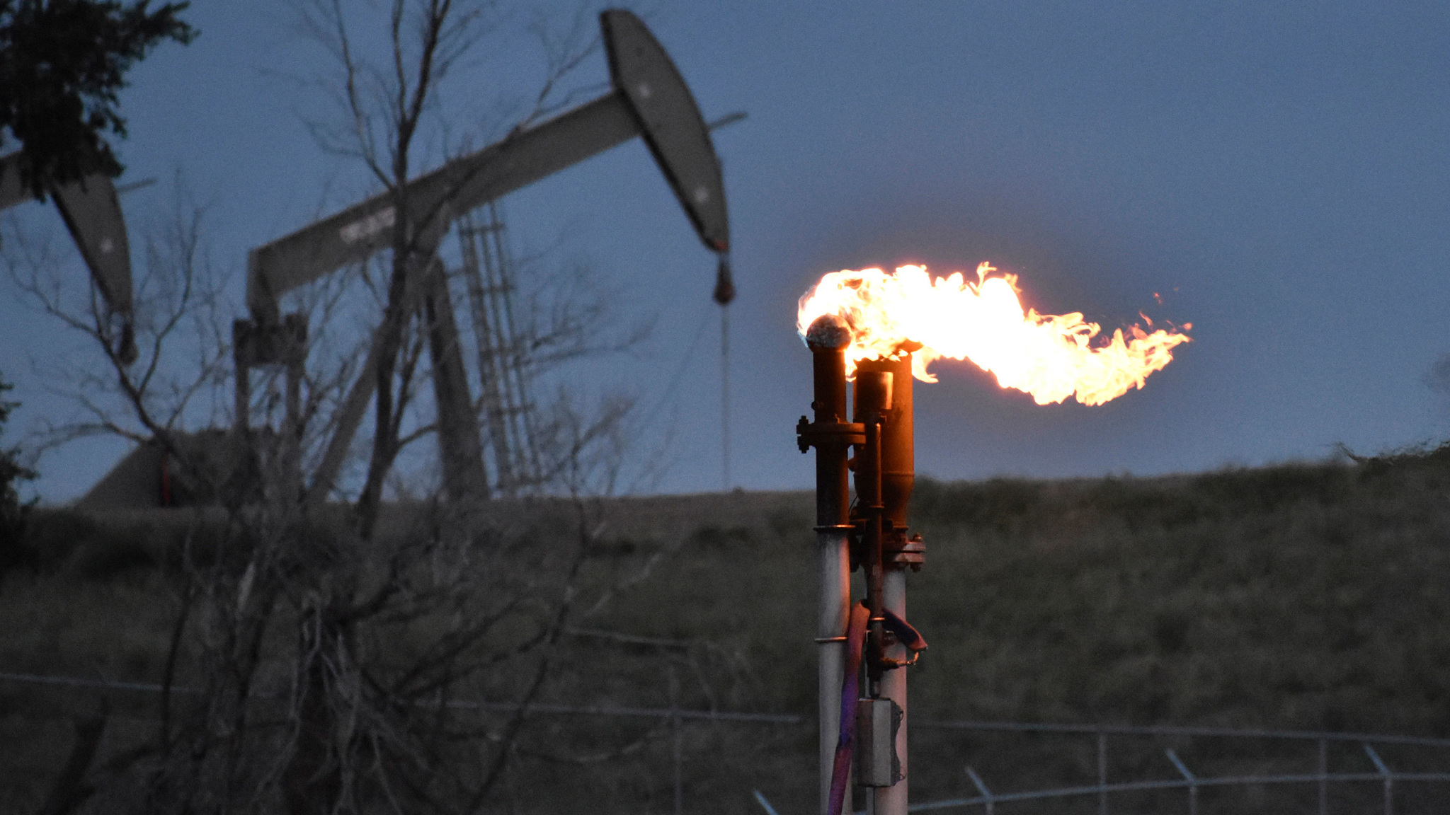 "Омикрон" не помеха: 2021-й стал годом восстановления рынка нефти