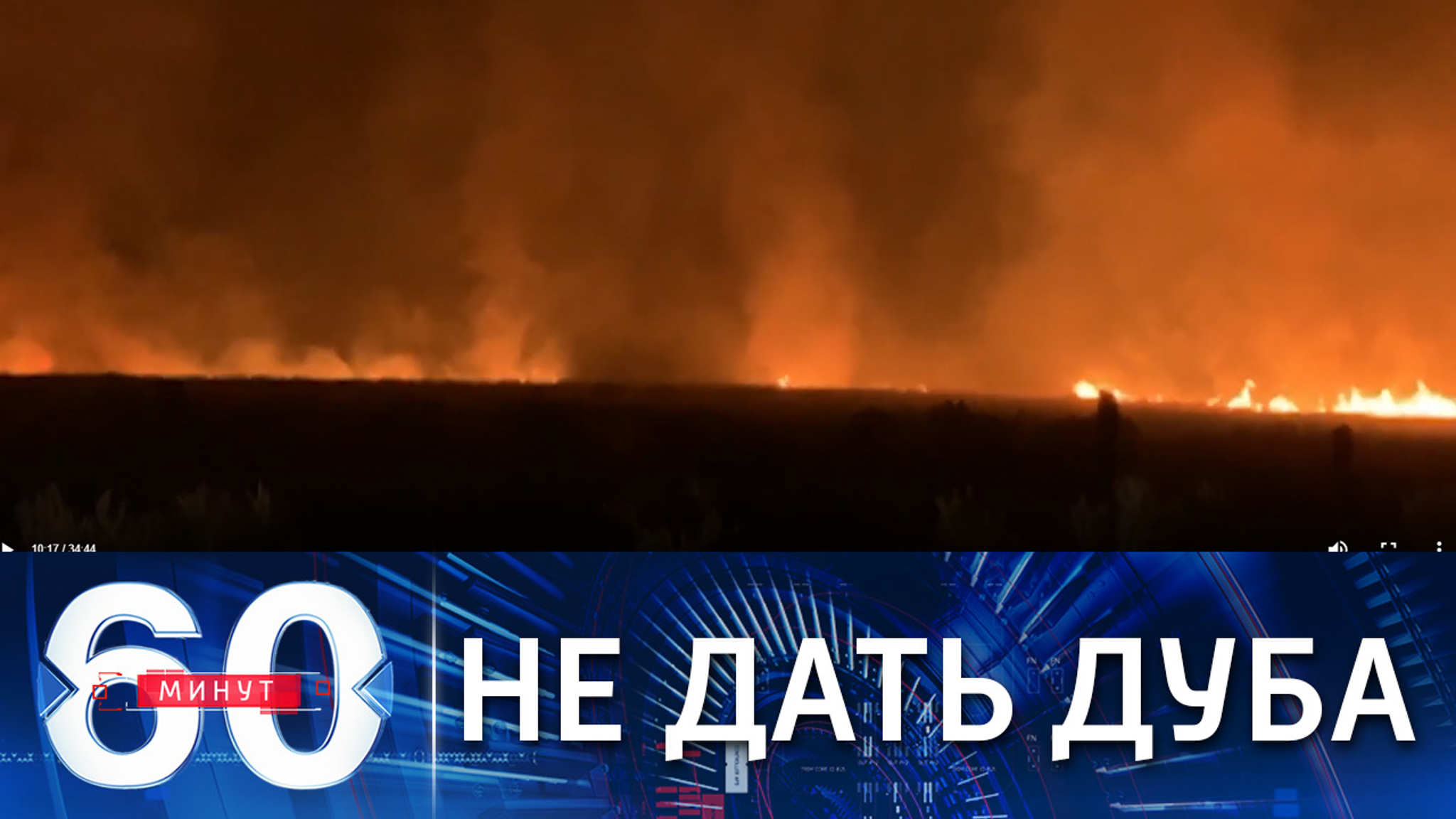 Жителей Европы учат выживать