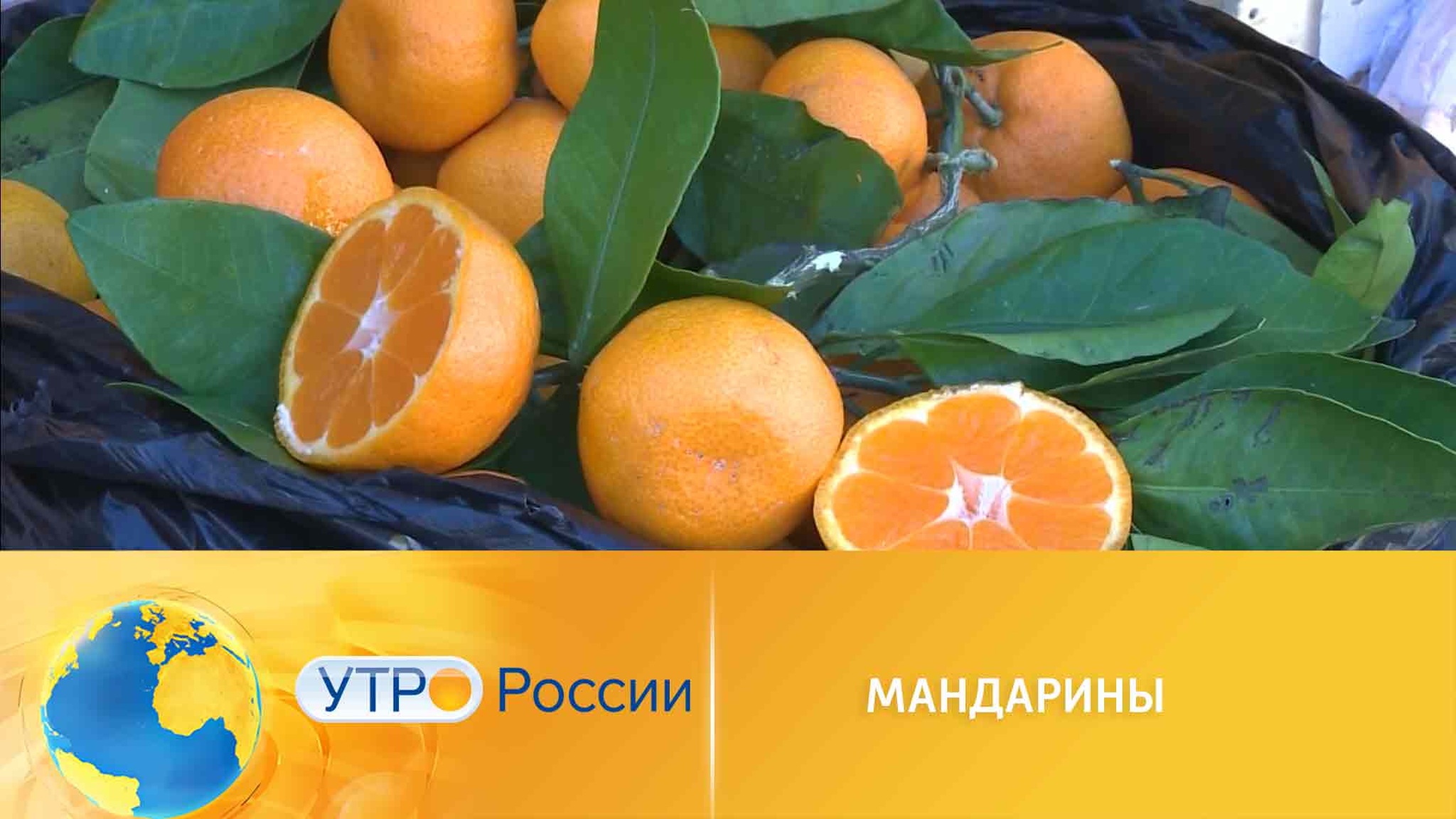 Как выбрать мандарины к праздничному столу