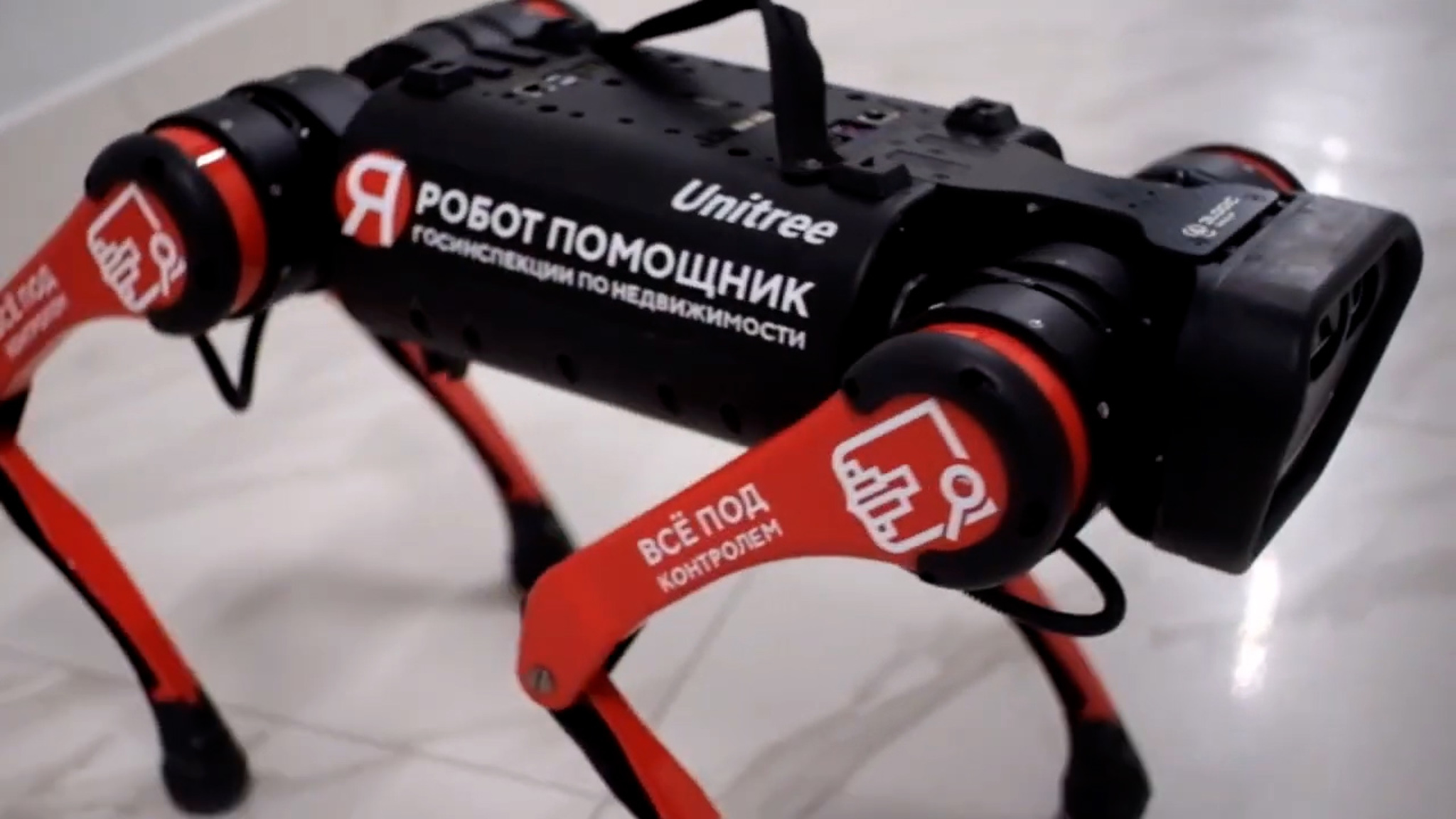 Робособака поможет обнаружить самострои в Москве