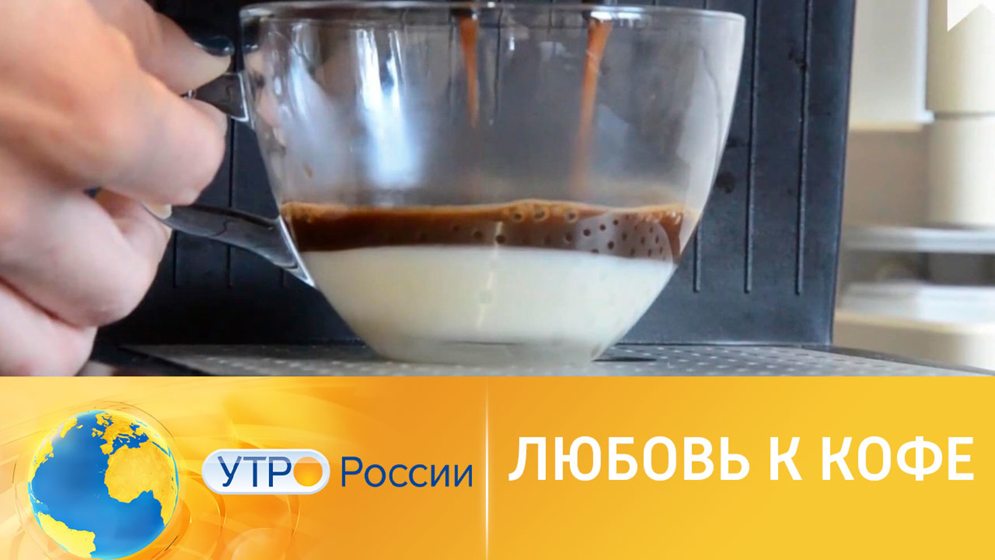 Кофе собственного приготовления: способы выращивания