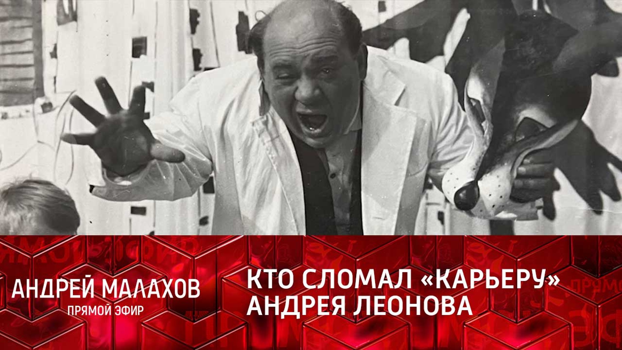 Чем Леонова обидел "злой и страшный серый волк"?