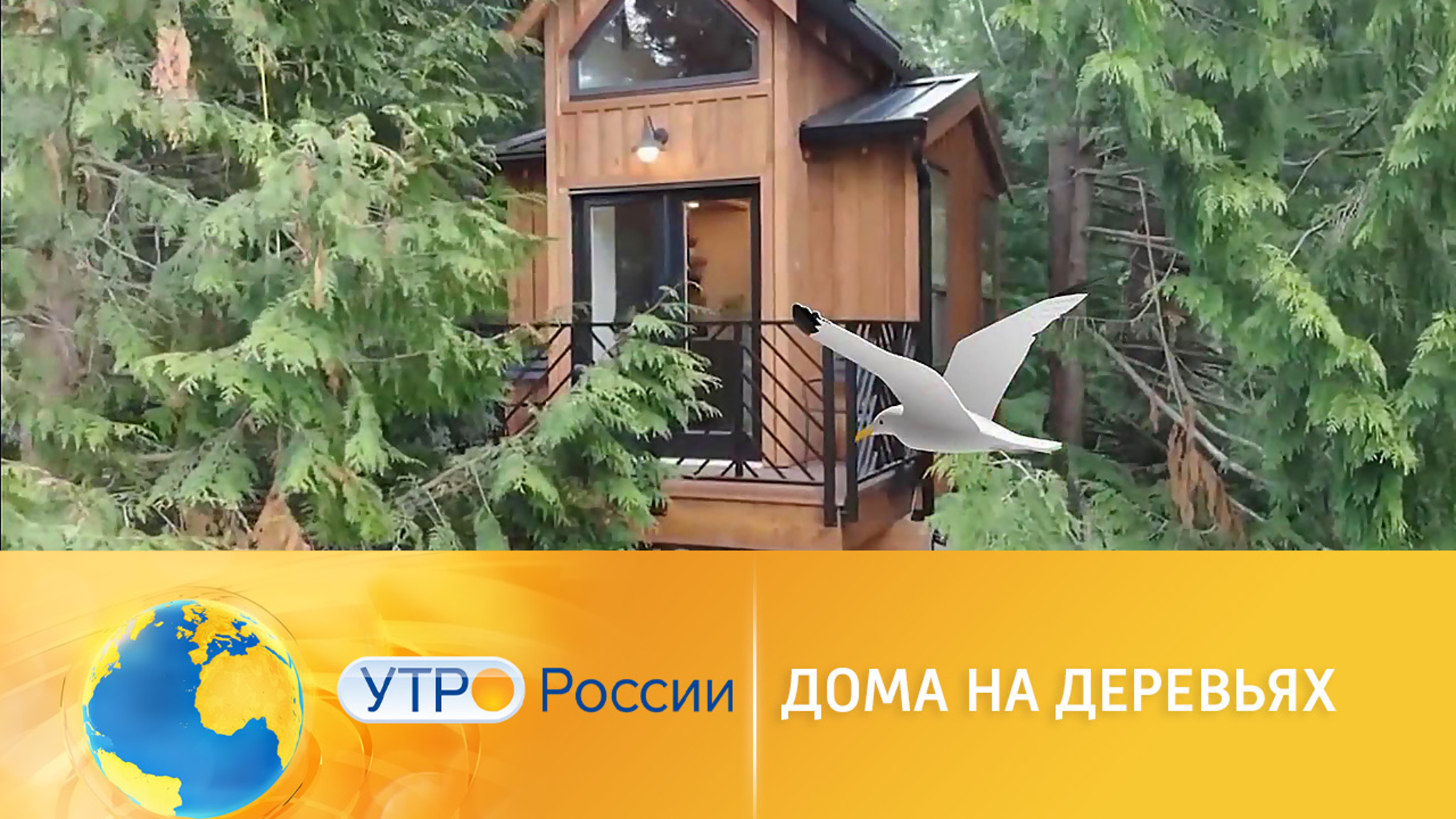 Воплощенная мечта, или как построить дом на дереве