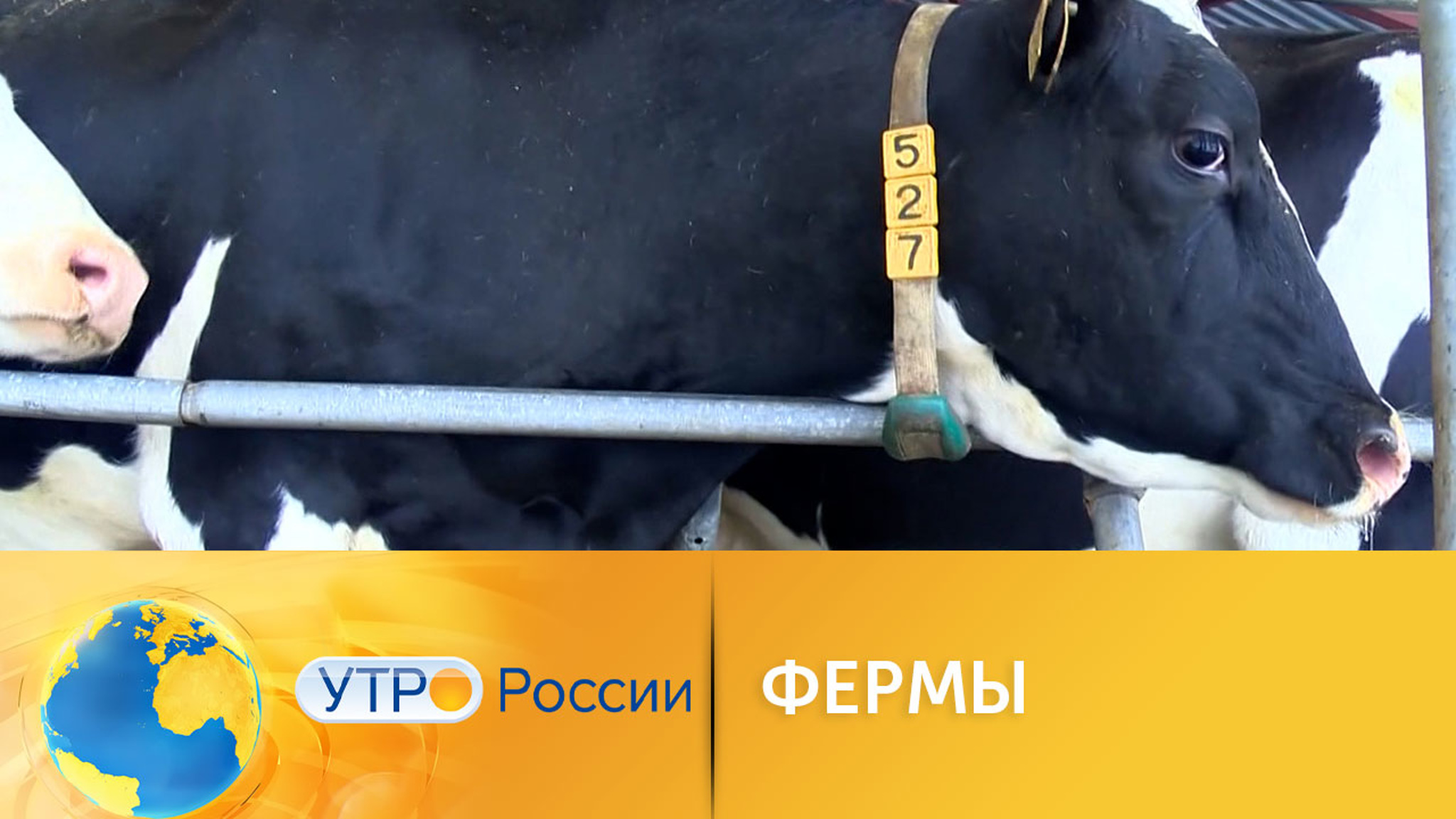 Сельское хозяйство в ожидании революции