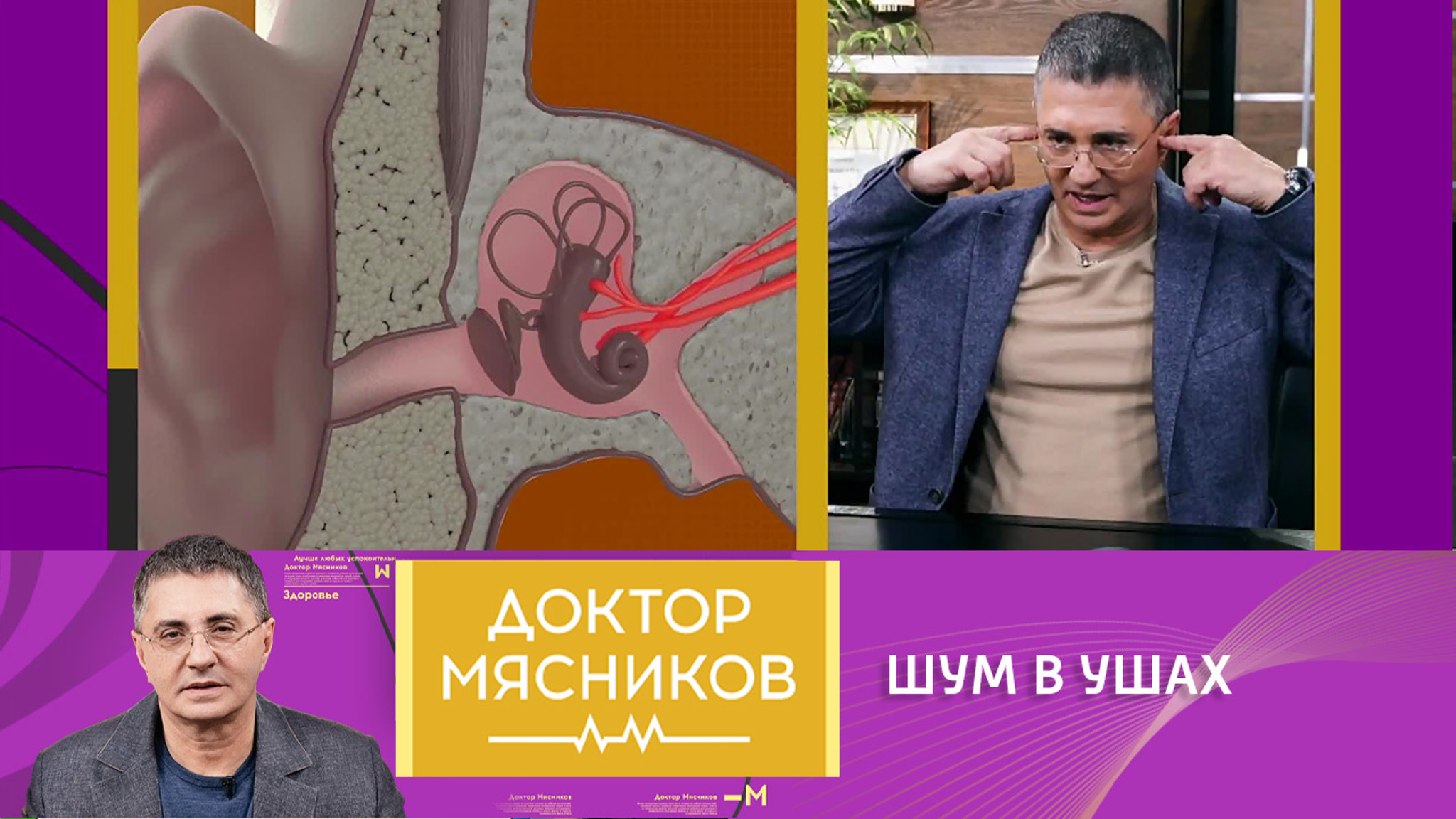 Причины появления шума в ушах