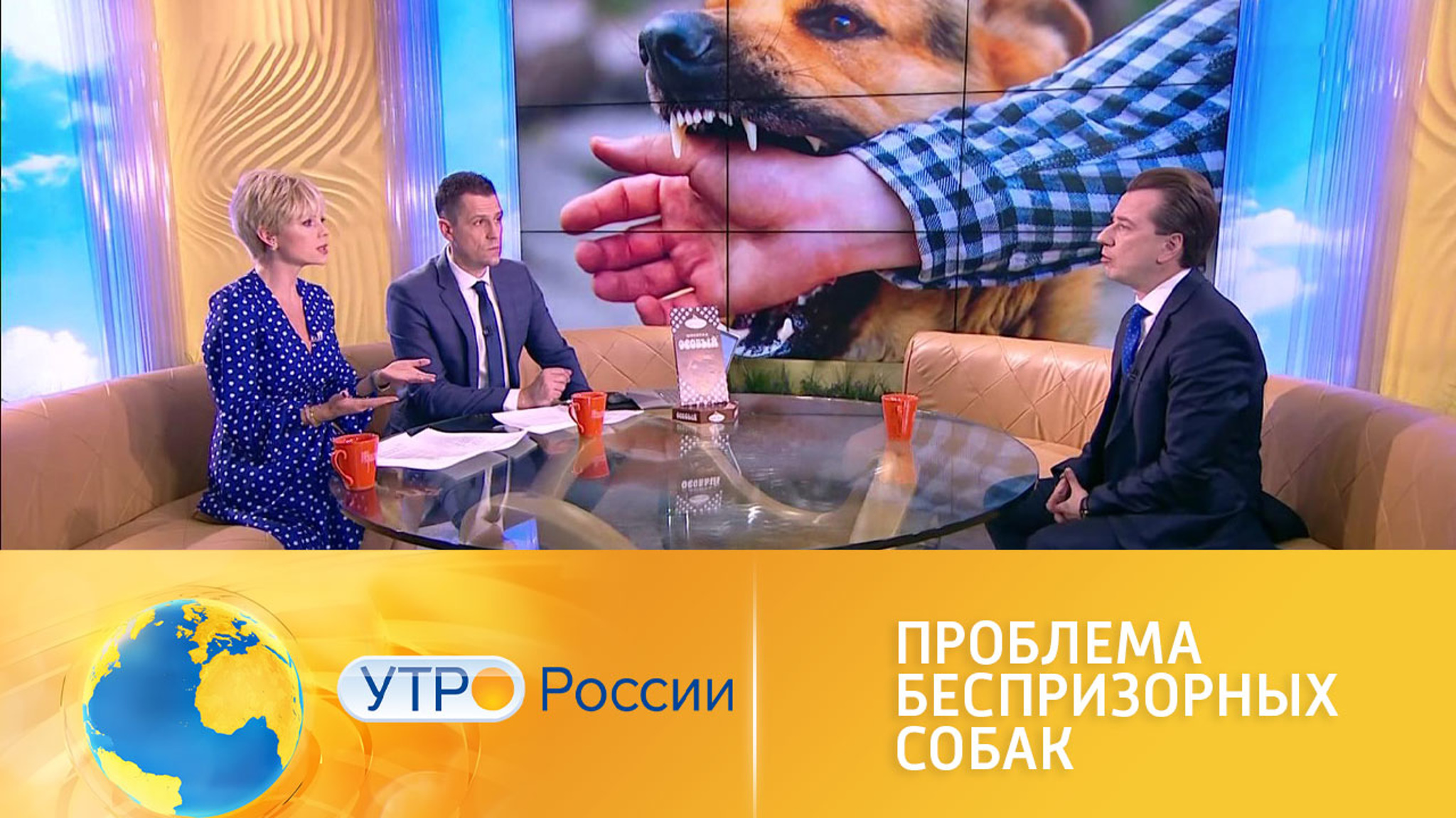 Проблема нападения бродячих собак на людей