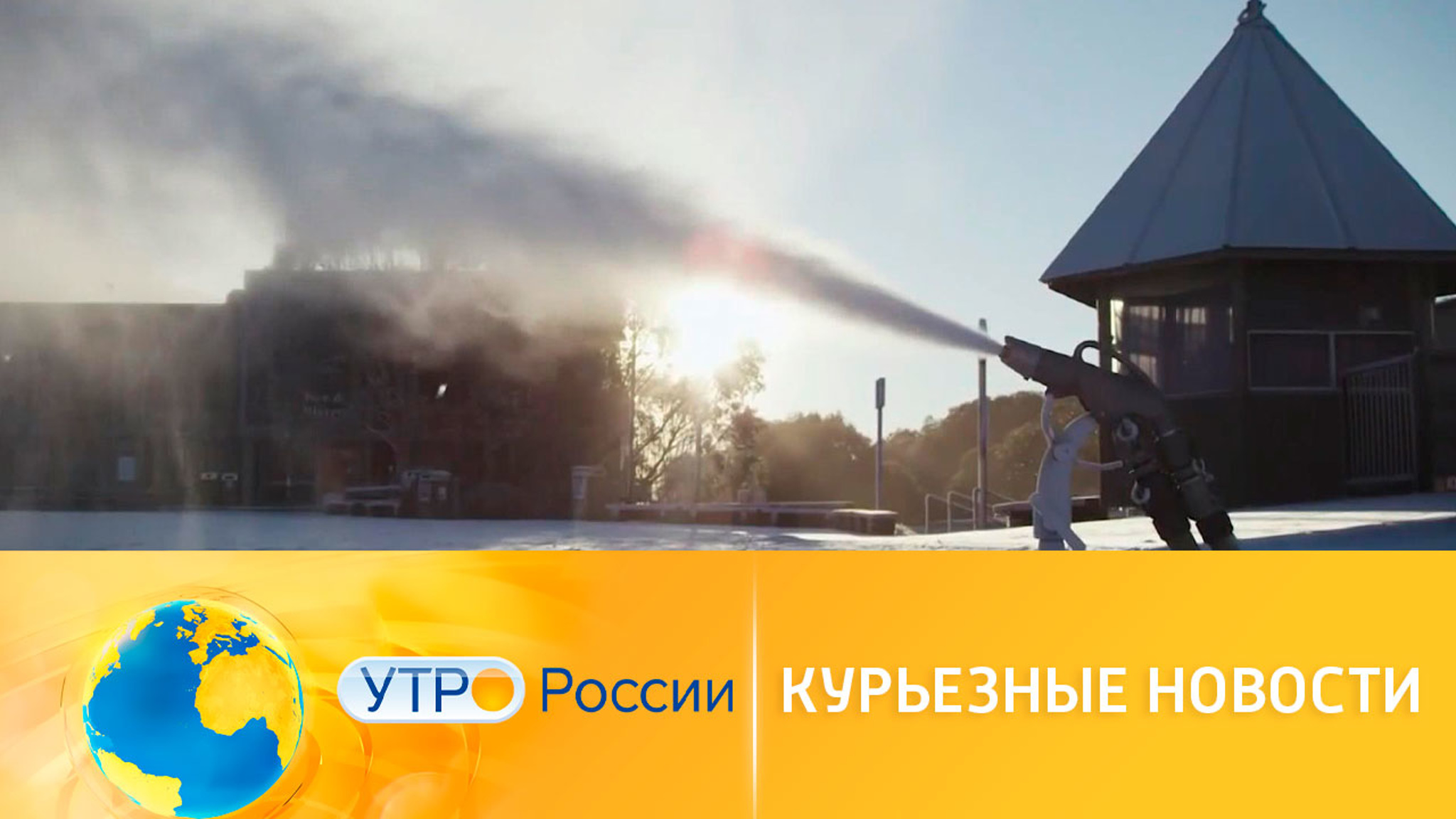 Подборка необычных и курьезных новостей