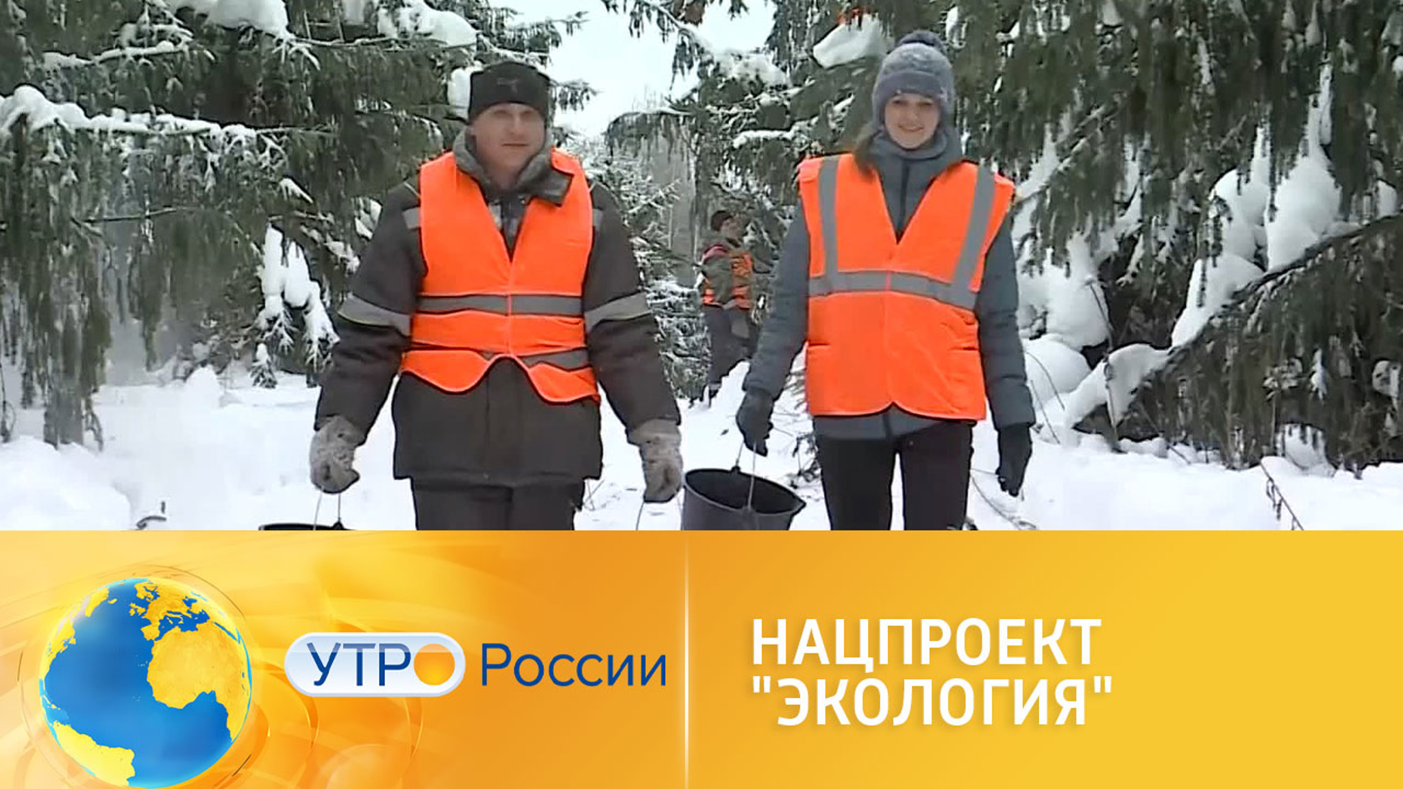 Нацпроект "Экология": заготовка семян к лесовосстановительному сезону
