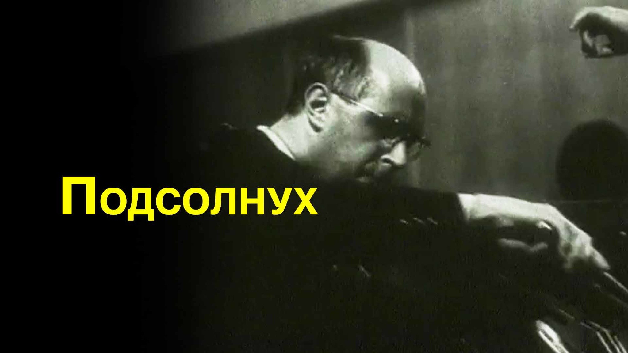 Подсолнух