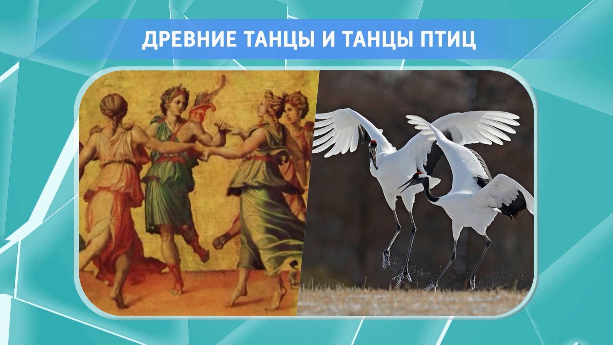 От рака и для продления жизни: геронтологи нашли панацею