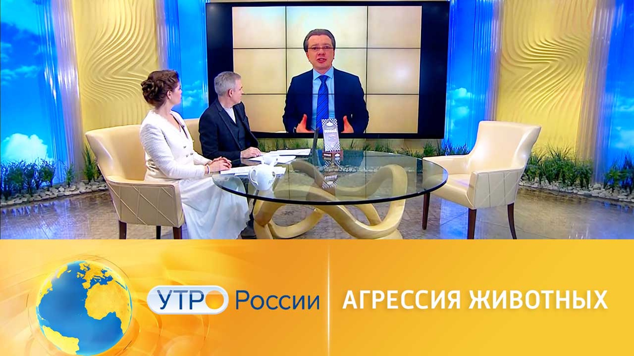 Агрессивных собак будут выявлять вовремя