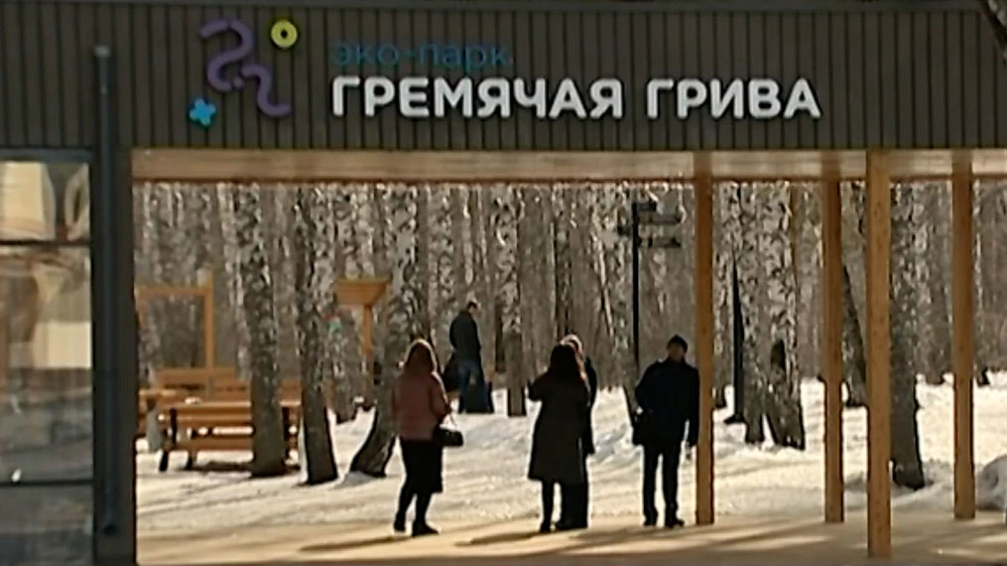 Охотник за белками объявился в красноярском парке