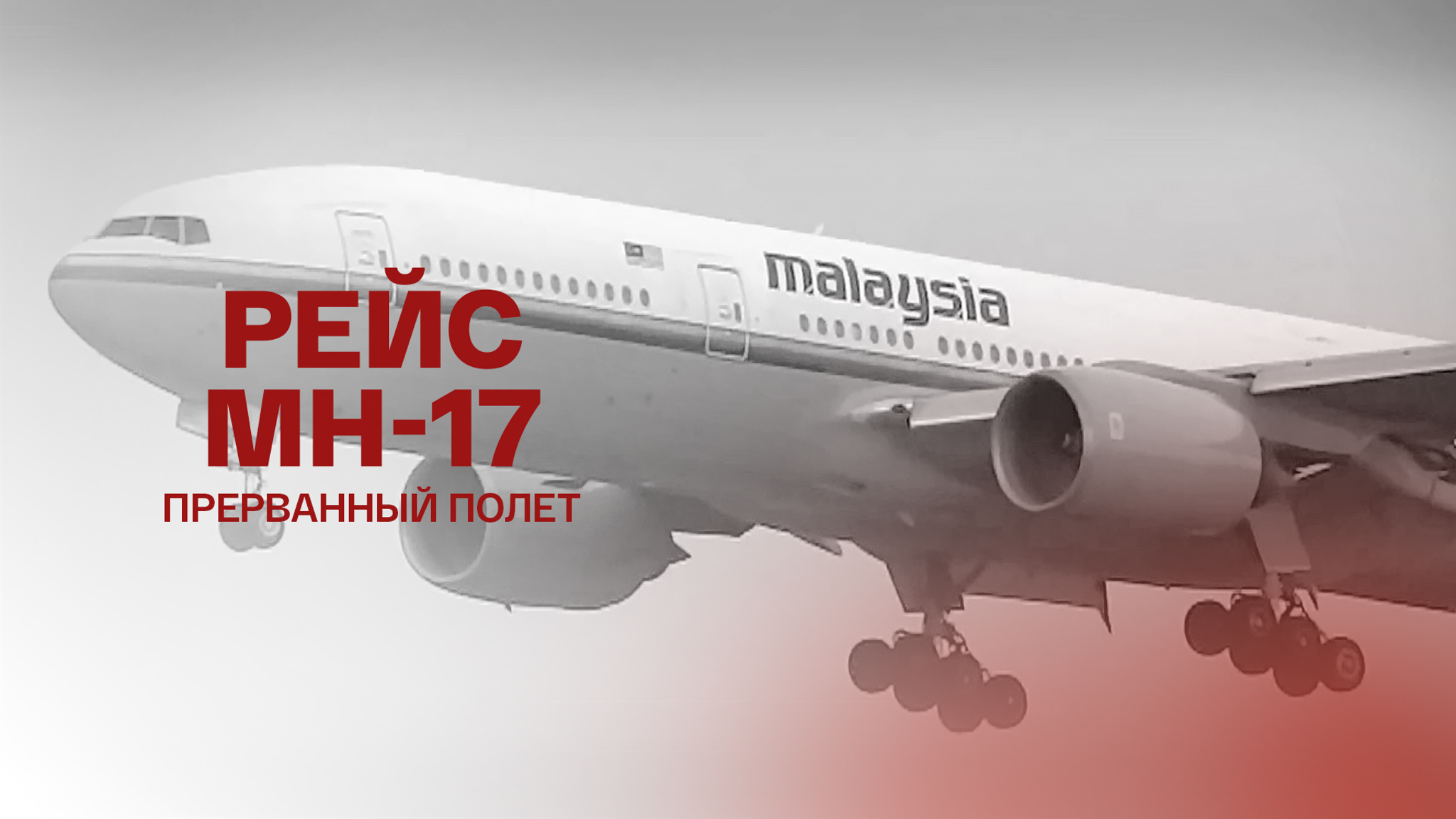 Рейс MH-17. Прерванный полет