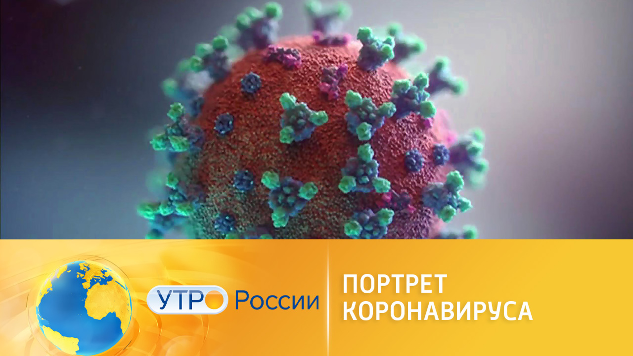 Портрет коронавируса: бояться или нет