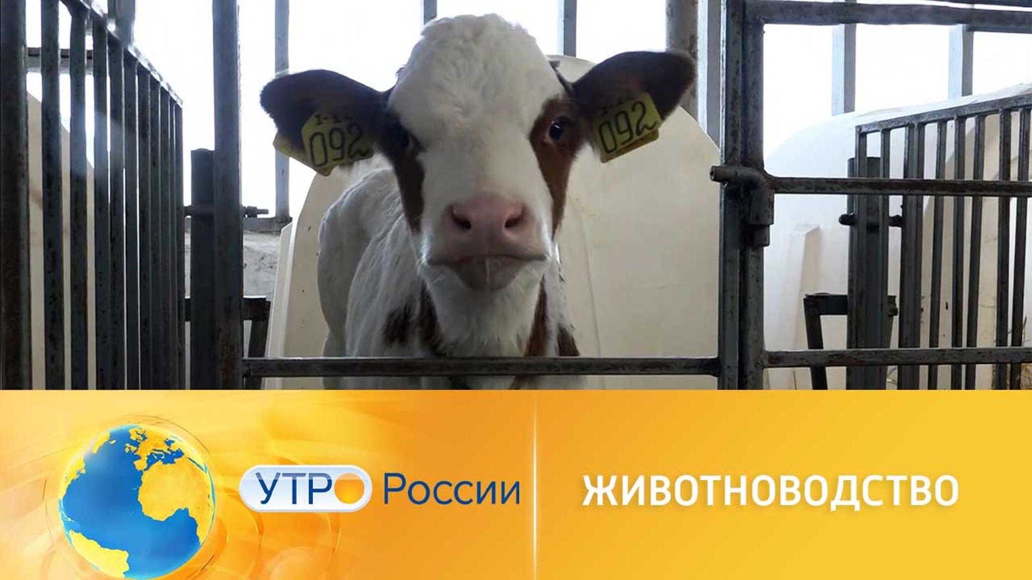 Животноводы Оренбургской области готовятся к весне