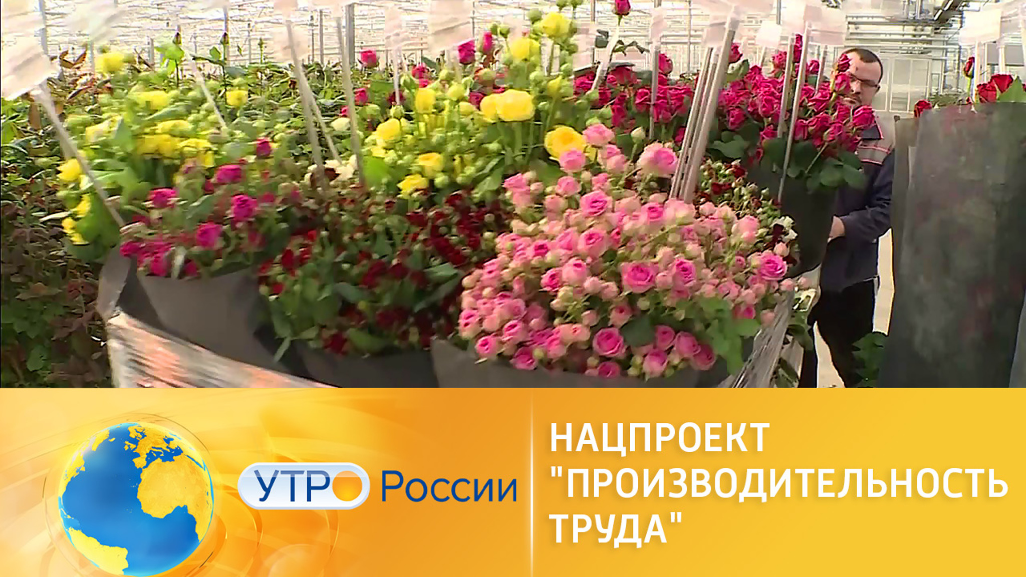 Цветочные предприятия России увеличивают объемы производства