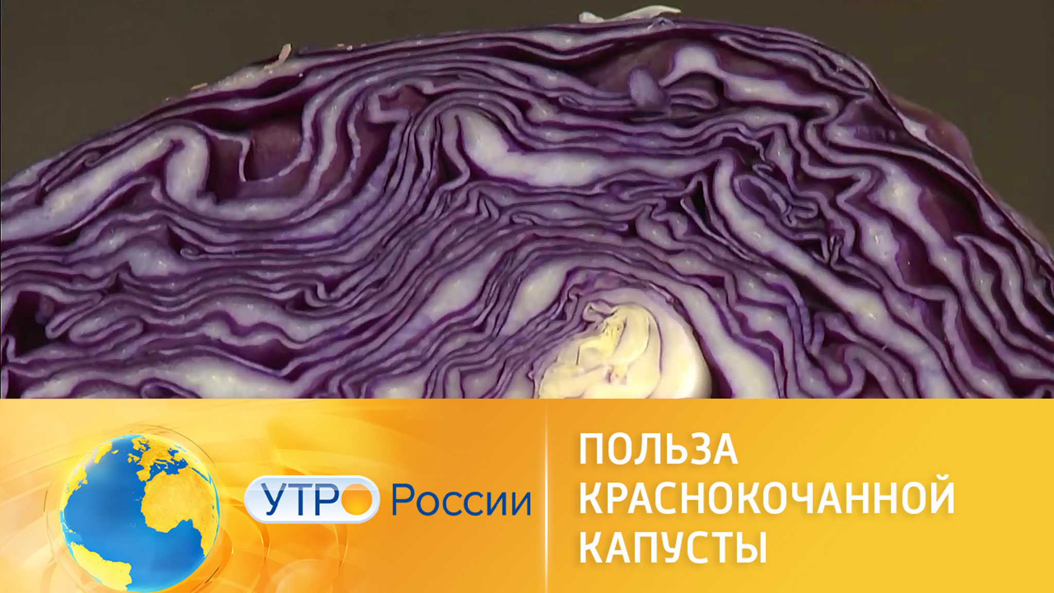 Вся правда о краснокочанной капусте
