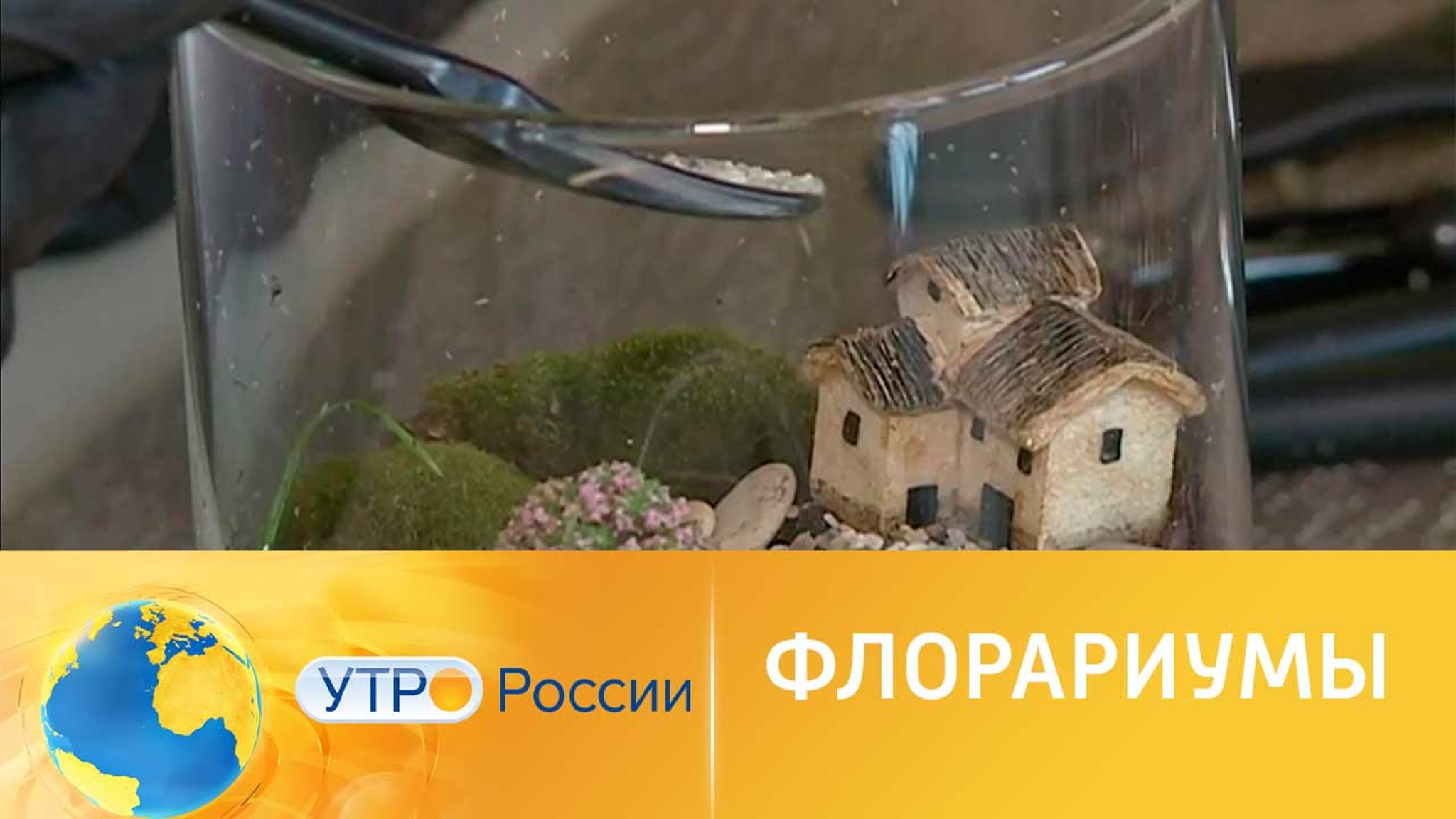 Флорариумы – новые сады для малогабаритных квартир